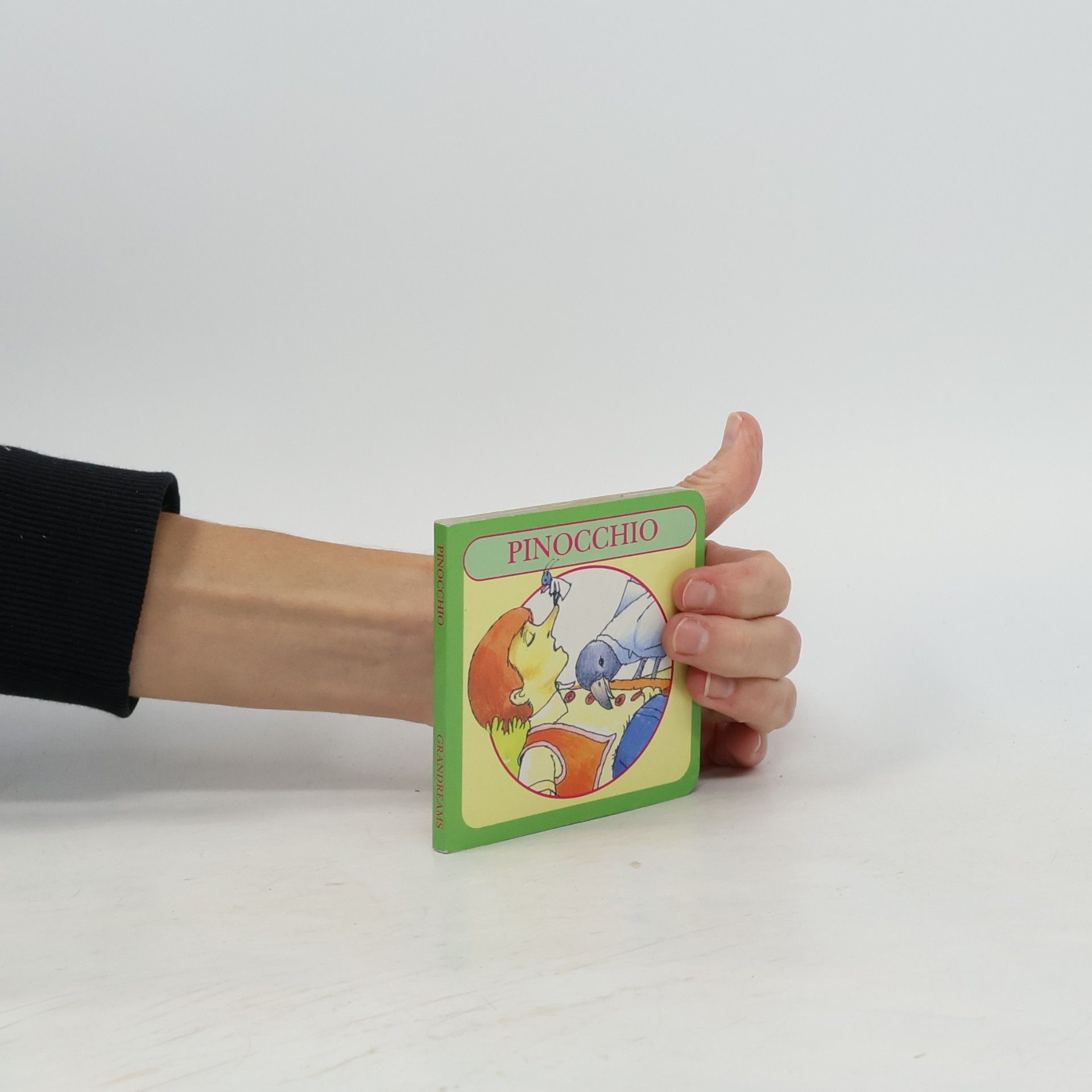 Autorenkollektiv Pinocchio