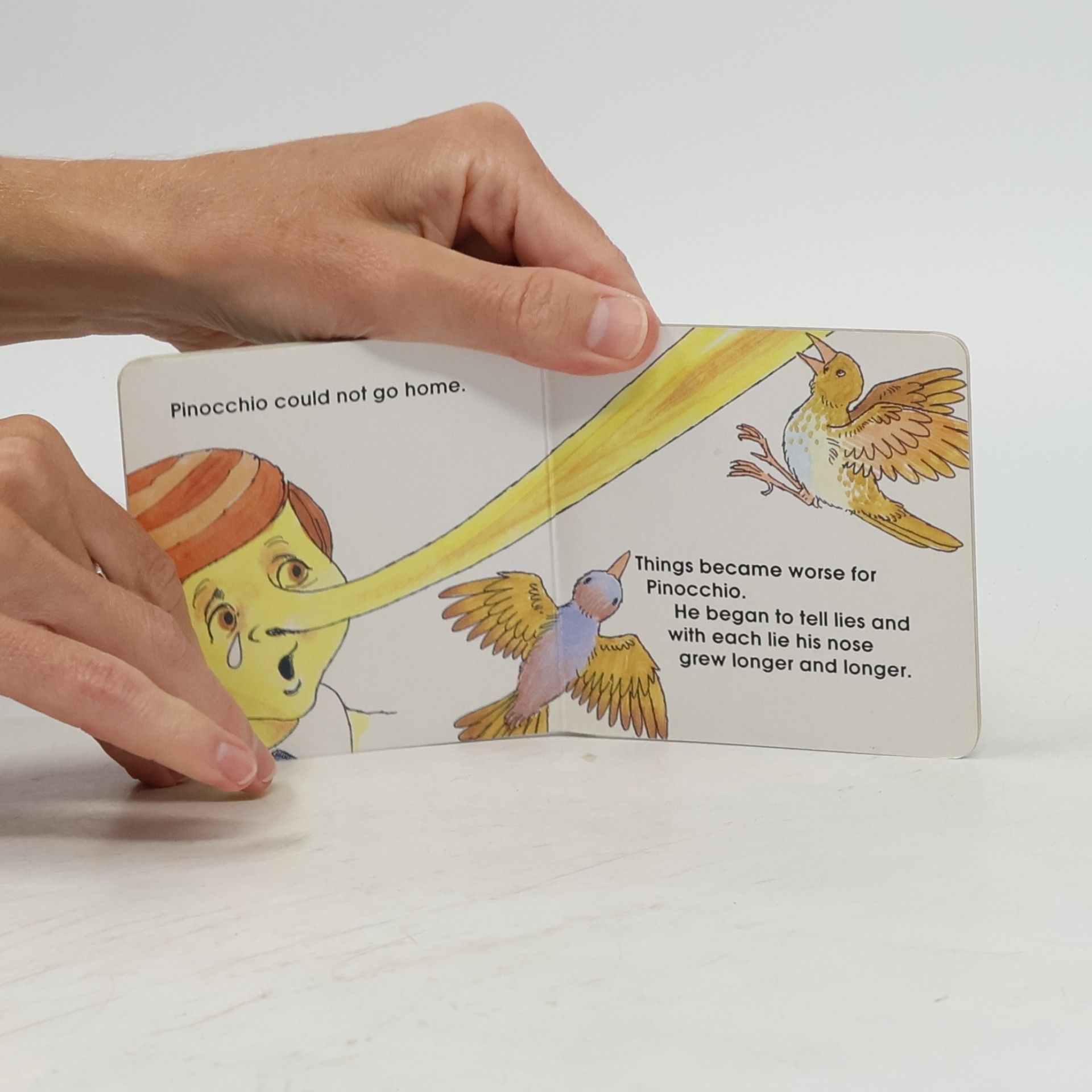 Autorenkollektiv Pinocchio