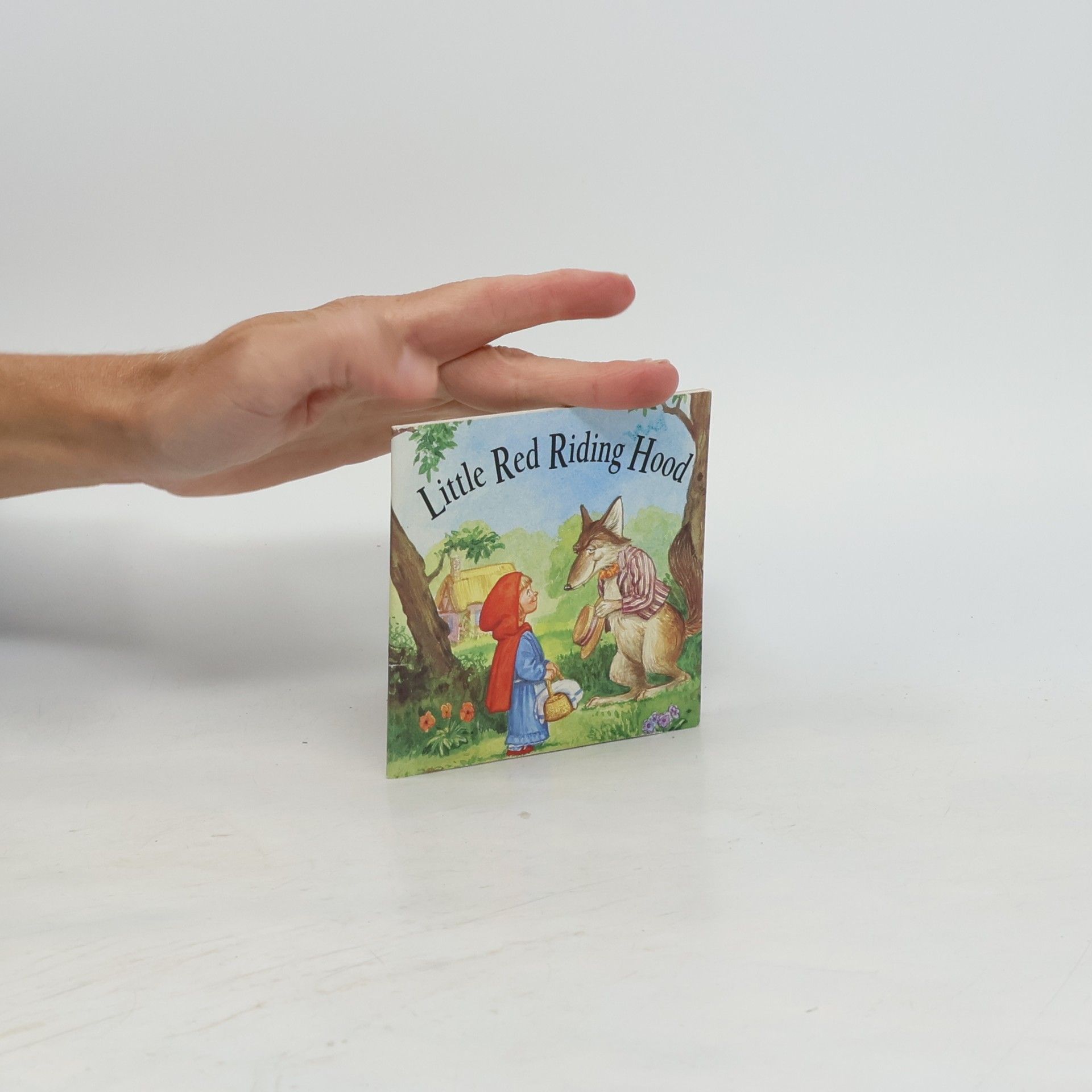 Kolektiv autorů Little Red Riding Hood