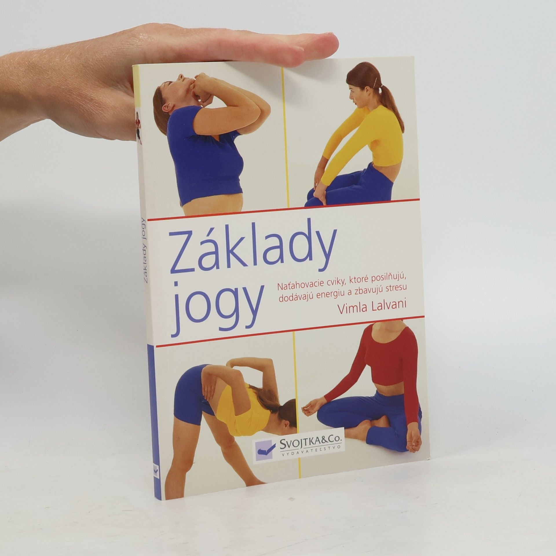 Základy jógy