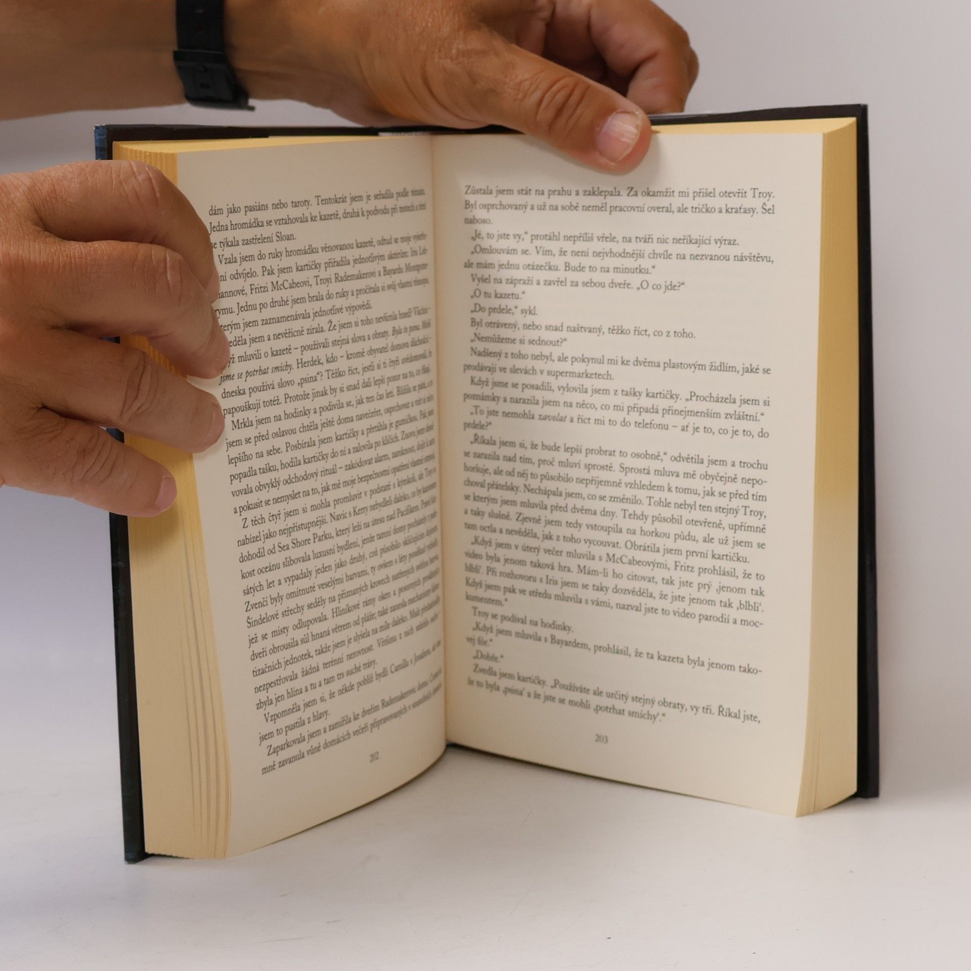 Sue Grafton Y jako… Ypsilon