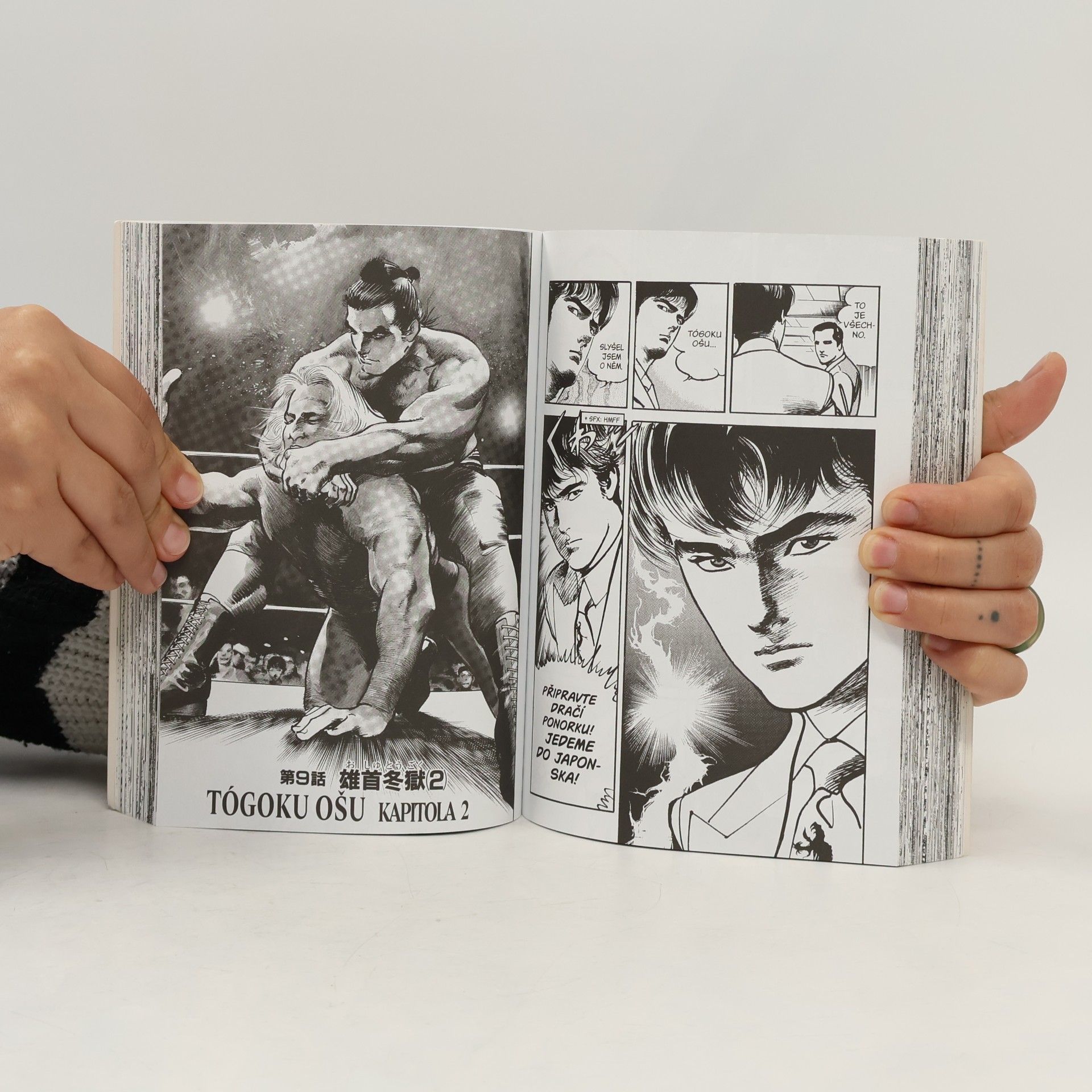 Kazuo Koike Crying Freeman - Plačící drak 3