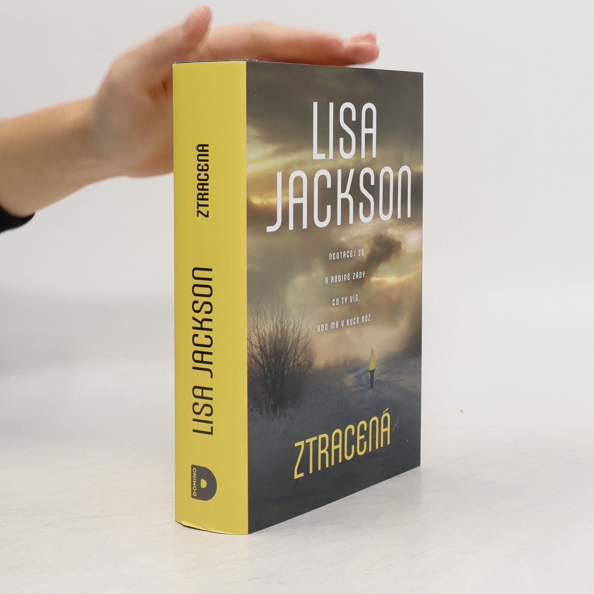 Lisa Jackson Ztracená