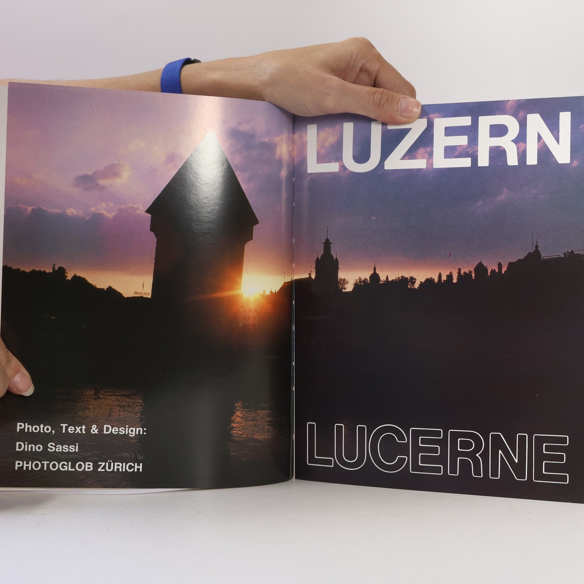 Dino Sassi Luzern Lucerne
