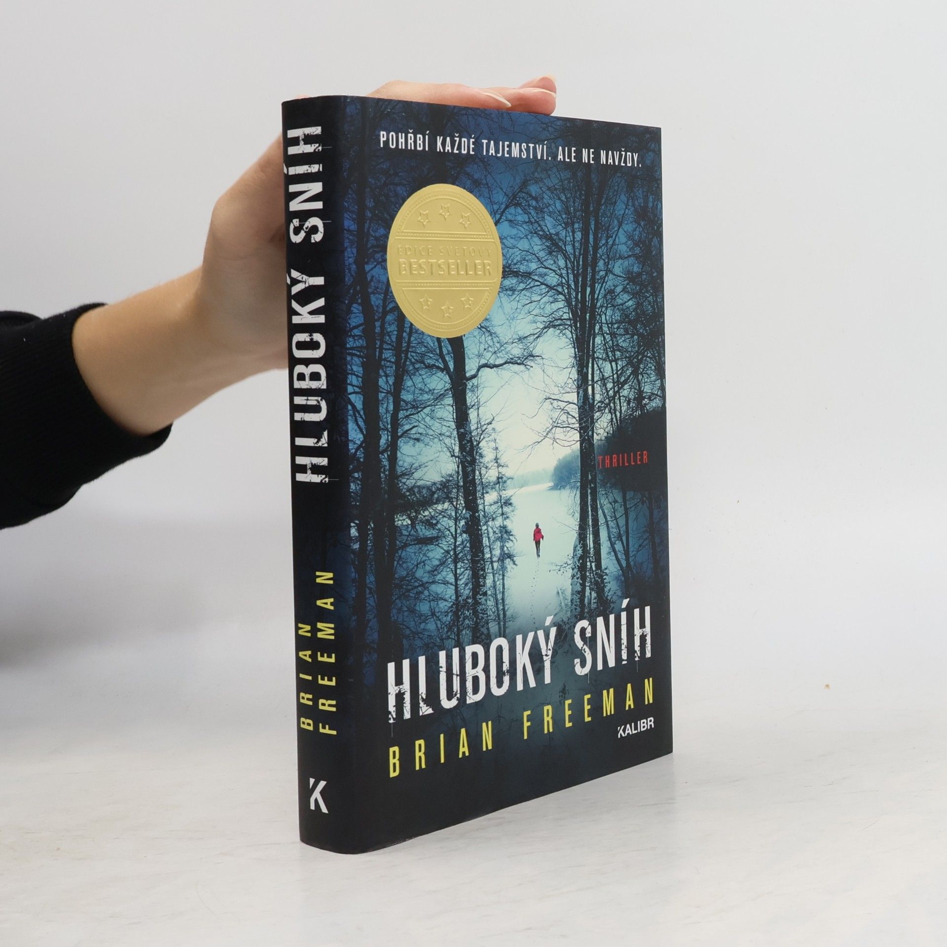 Hluboký sníh