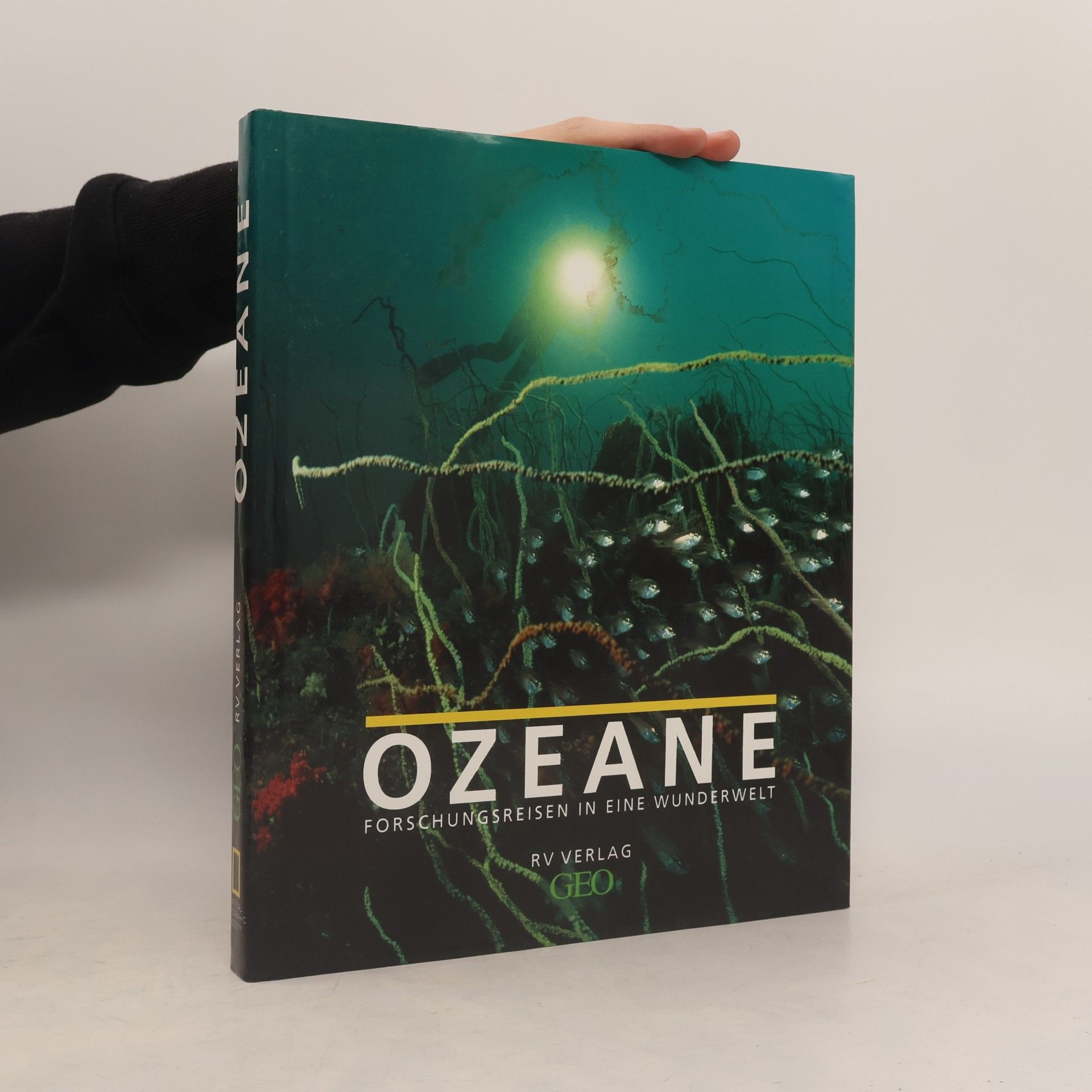 kolektiv Ozeane