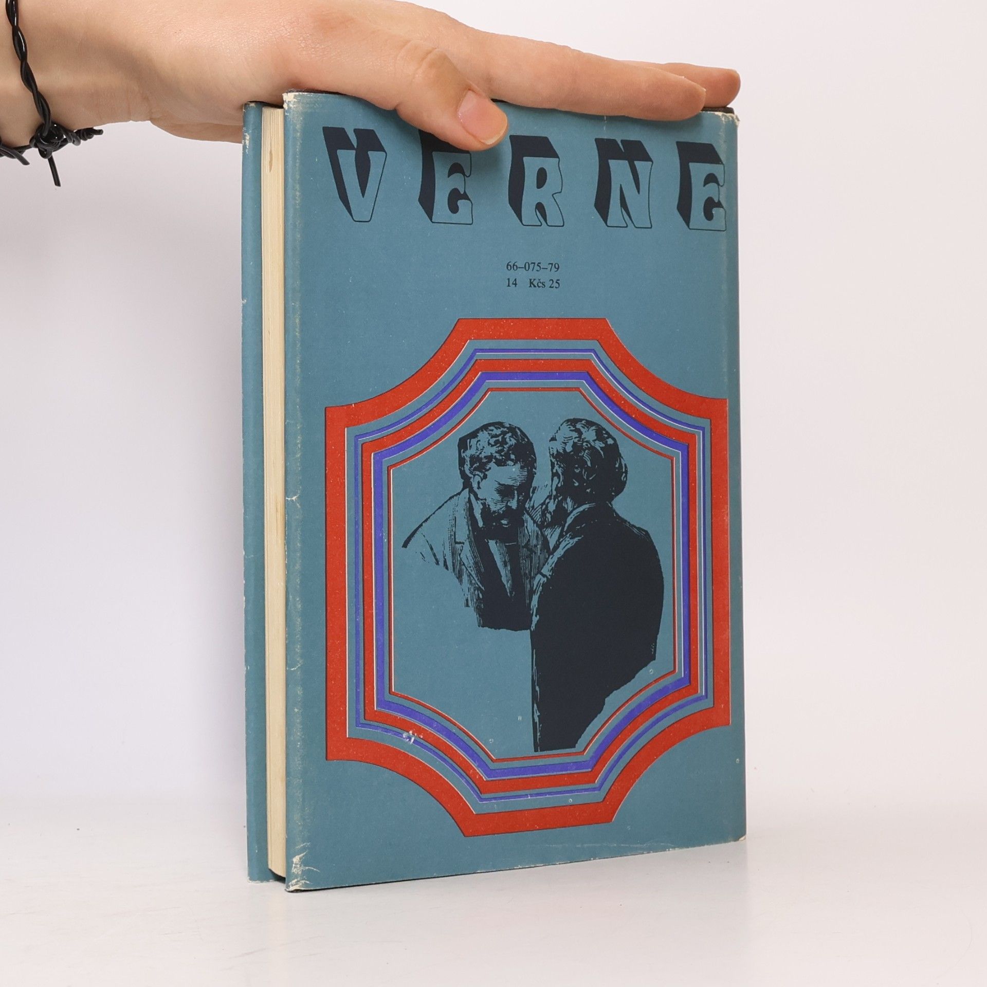 Jules Verne Bratia Kipovci