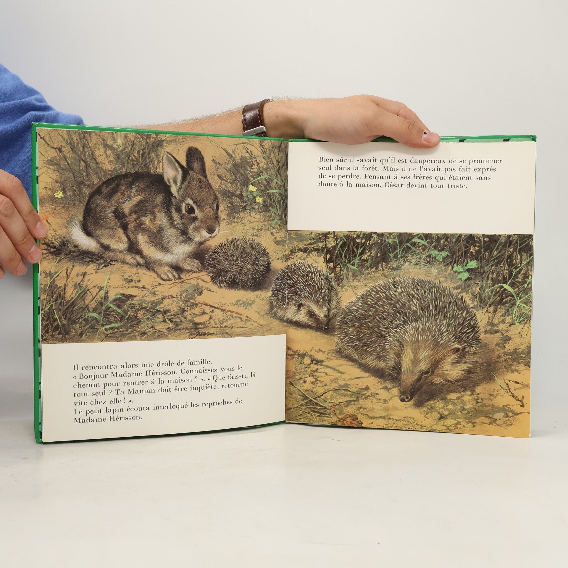 Damaris Klethi Qui veut adopter Cesar le petit lapin sans peur