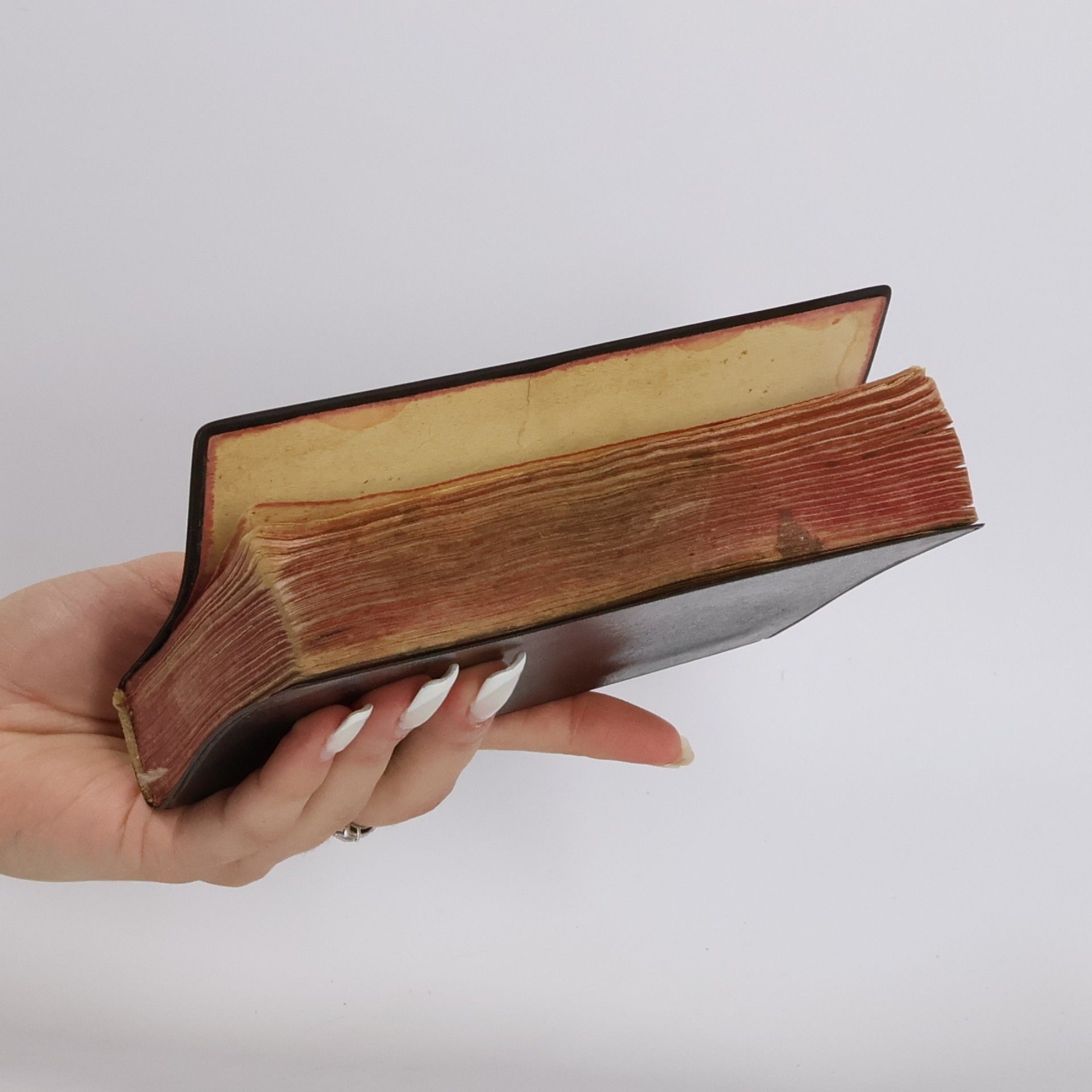 Autorenkollektiv Jednotný katolícky spevník