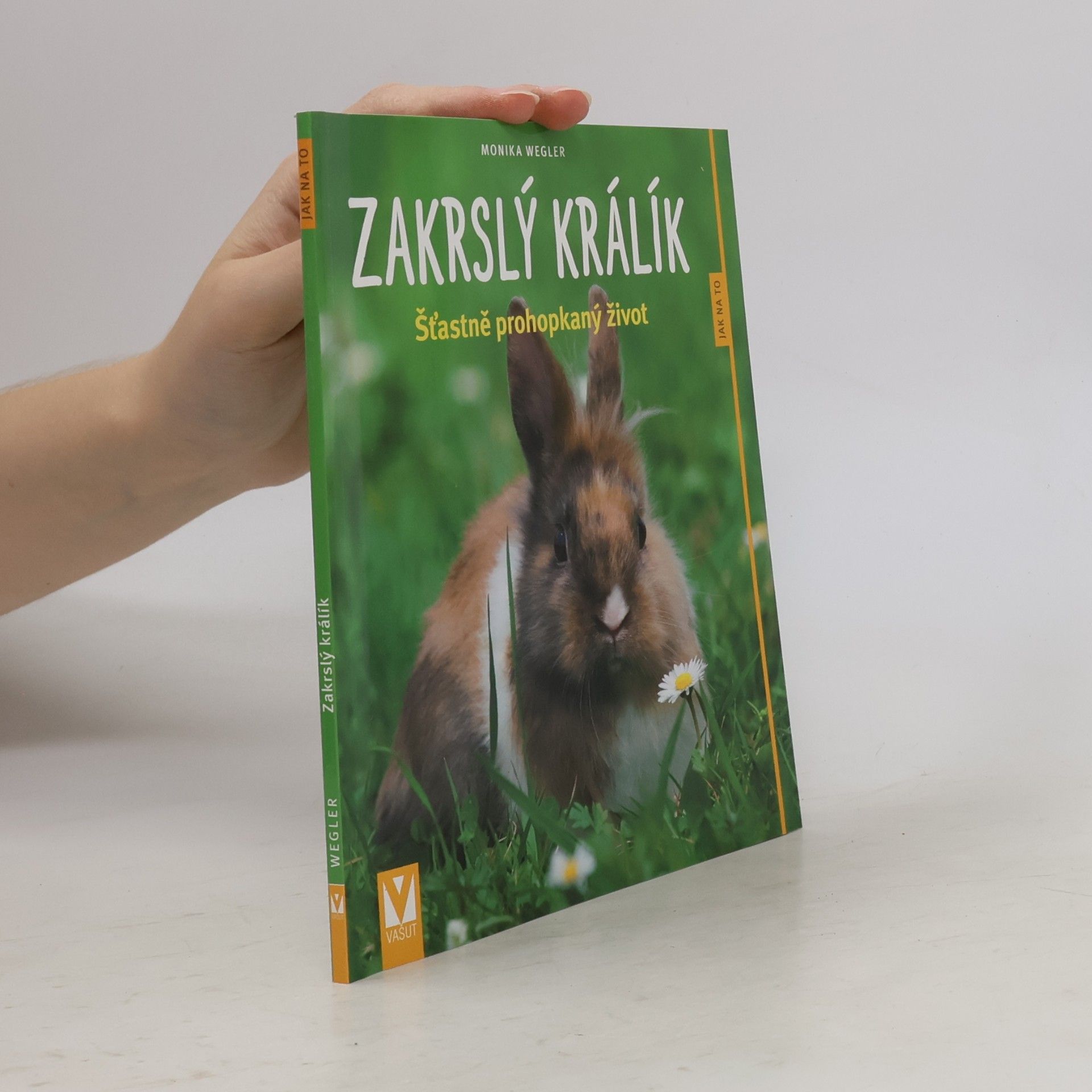 Monika Wegler Zakrslý králík
