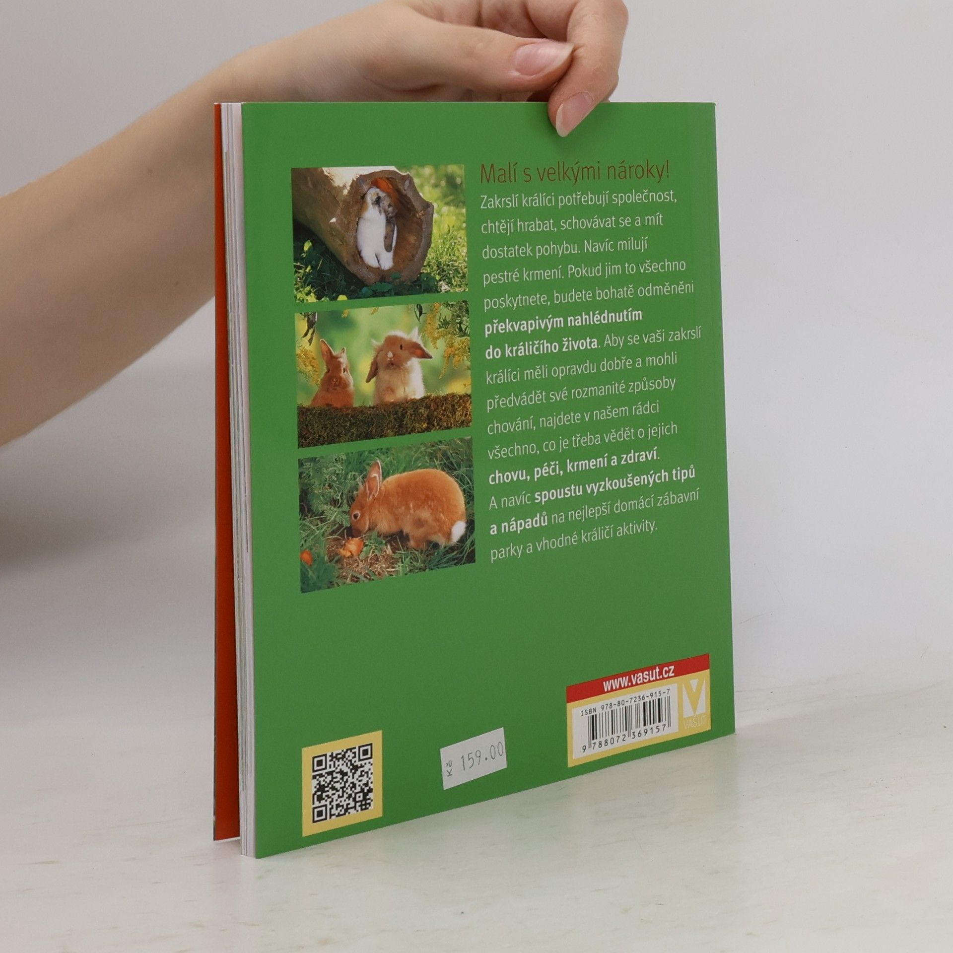 Monika Wegler Zakrslý králík