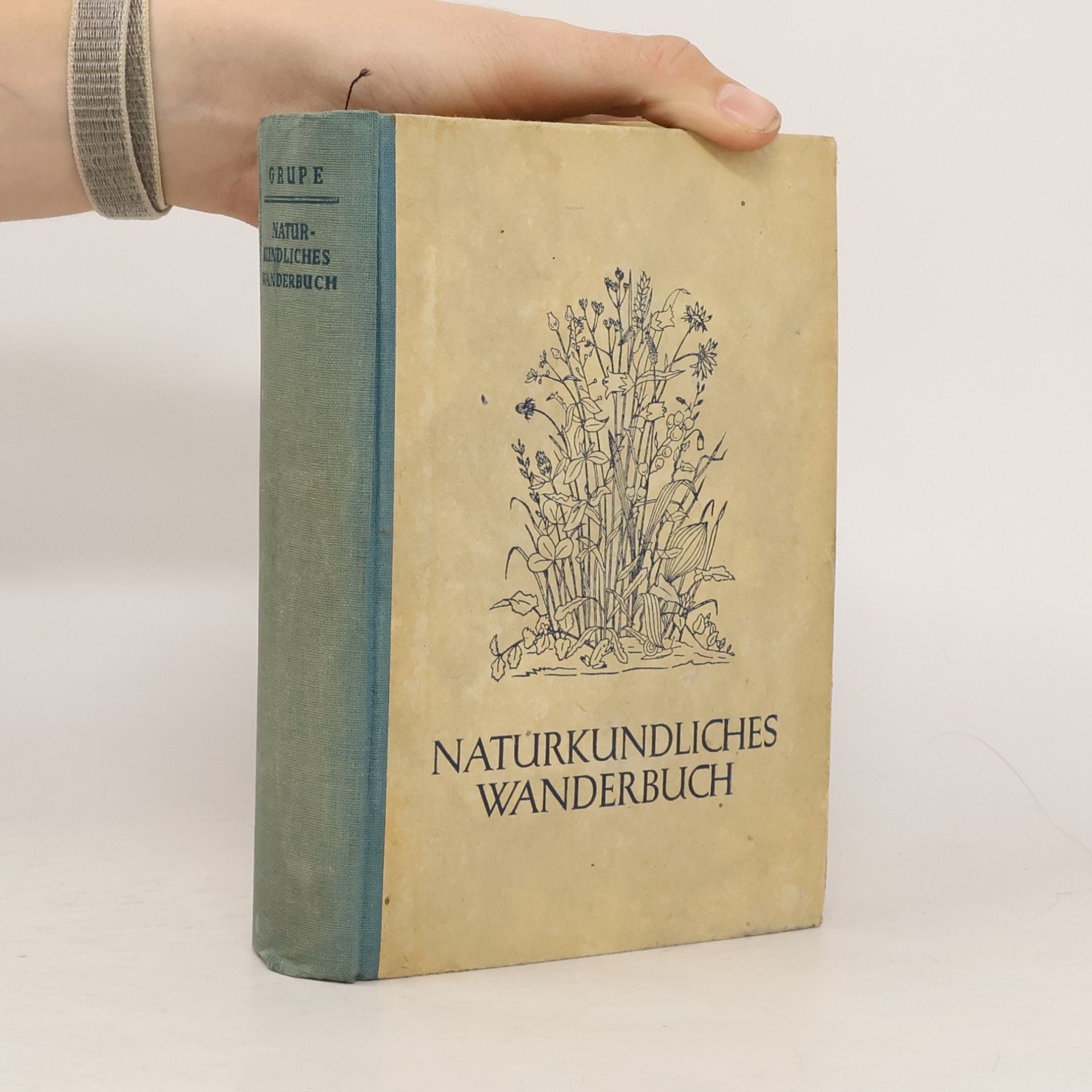 Heinrich Grupe Naturkundliches Wanderbuch