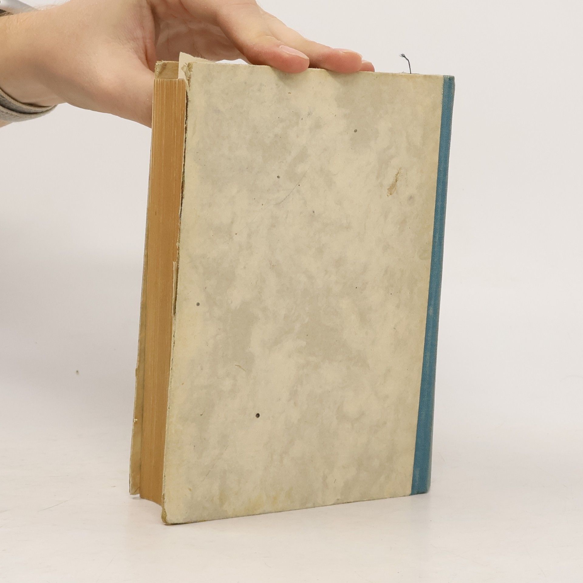 Grupe Naturkundliches Wanderbuch