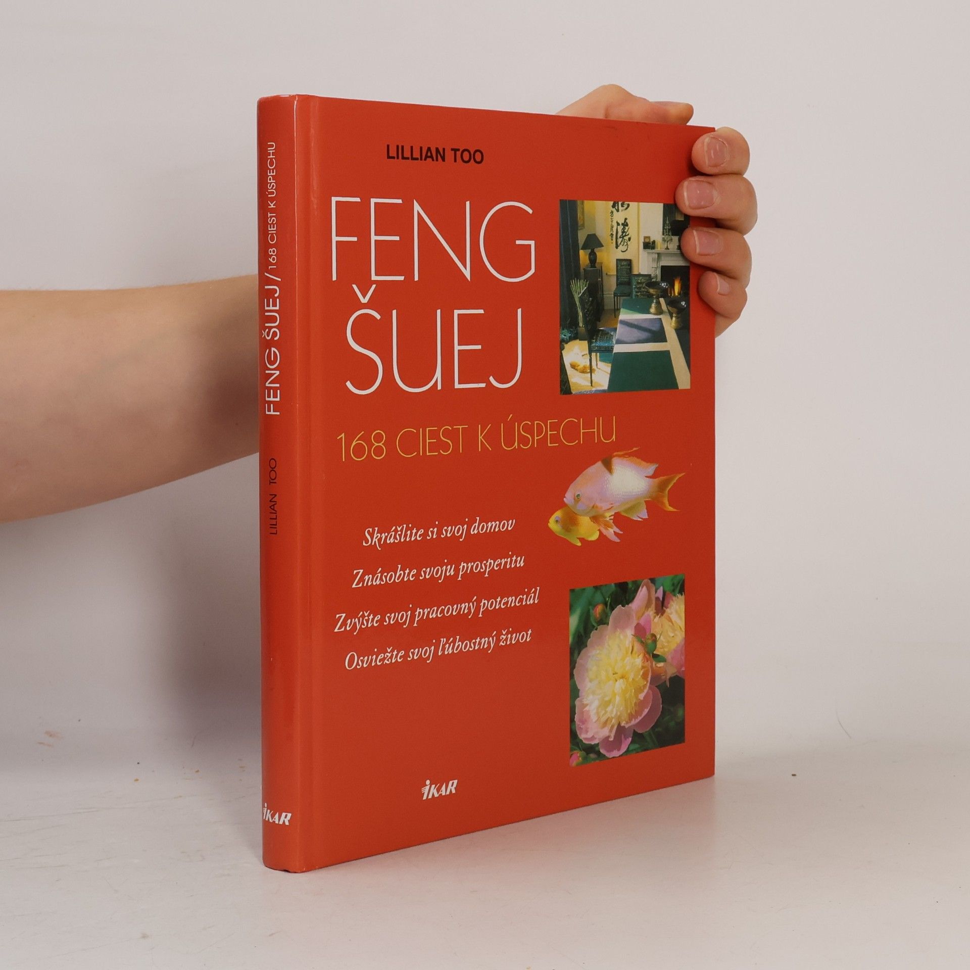 Lillian Too Feng šuej - 168 ciest k úspechu