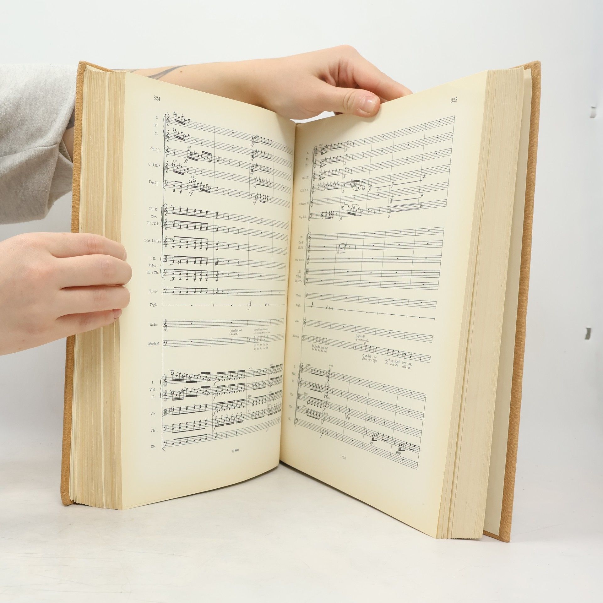 Antonín Dvořák Čert a Káča
