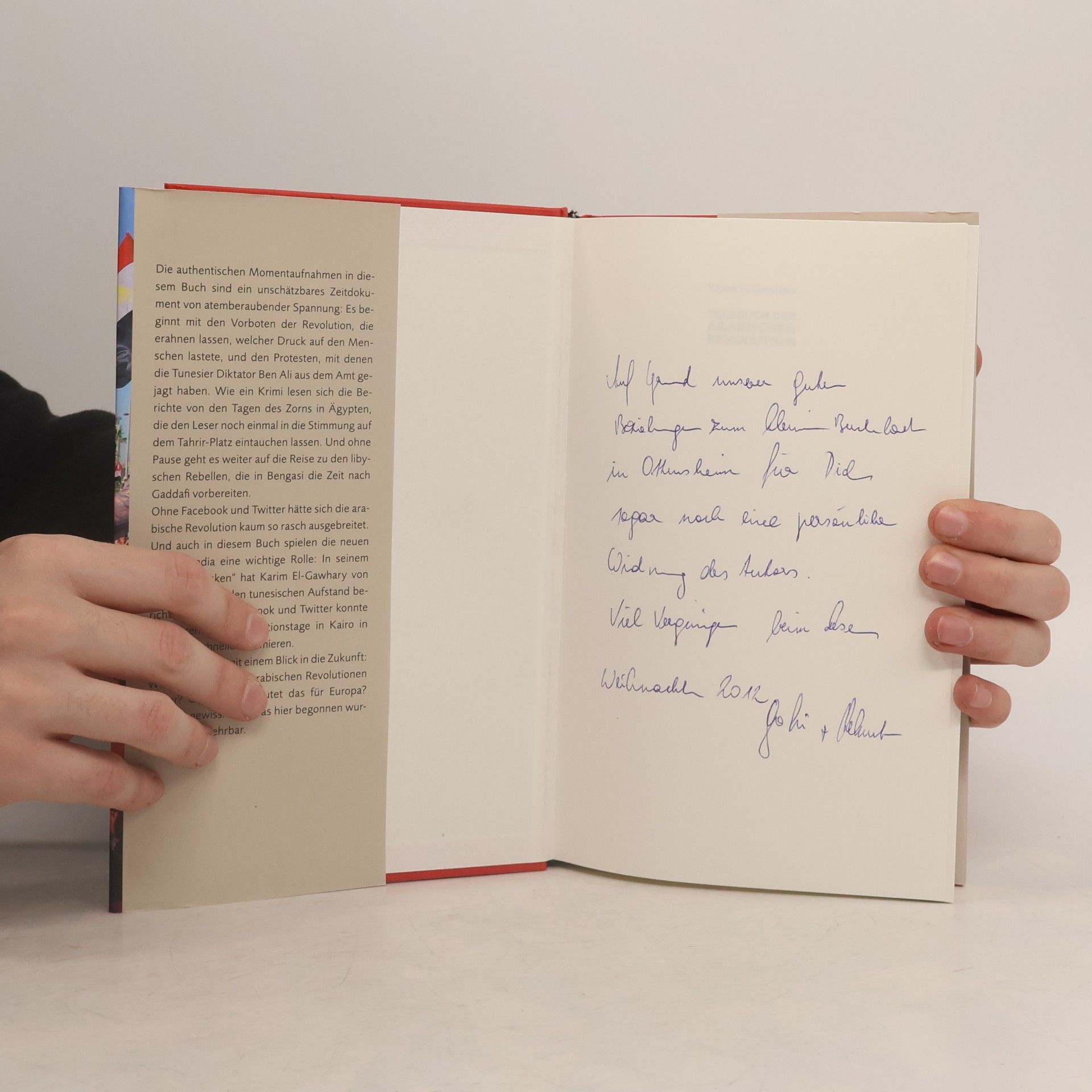 Karim Gawhary Tagebuch der arabischen Revolution