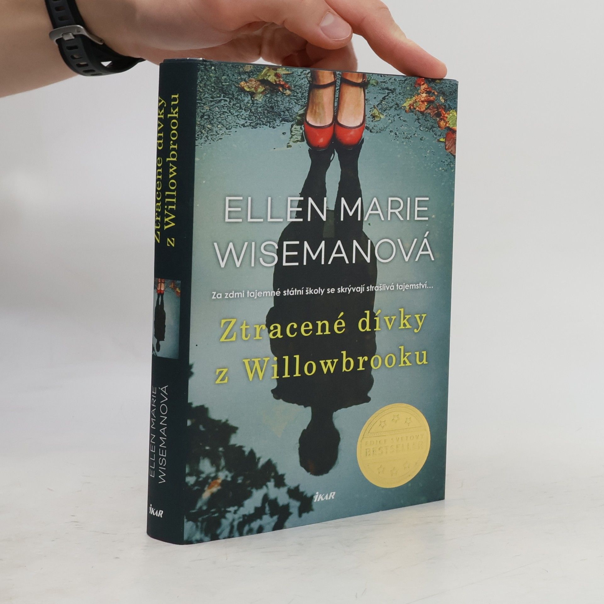 Ellen Marie Wiseman Ztracené dívky z Willowbrooku