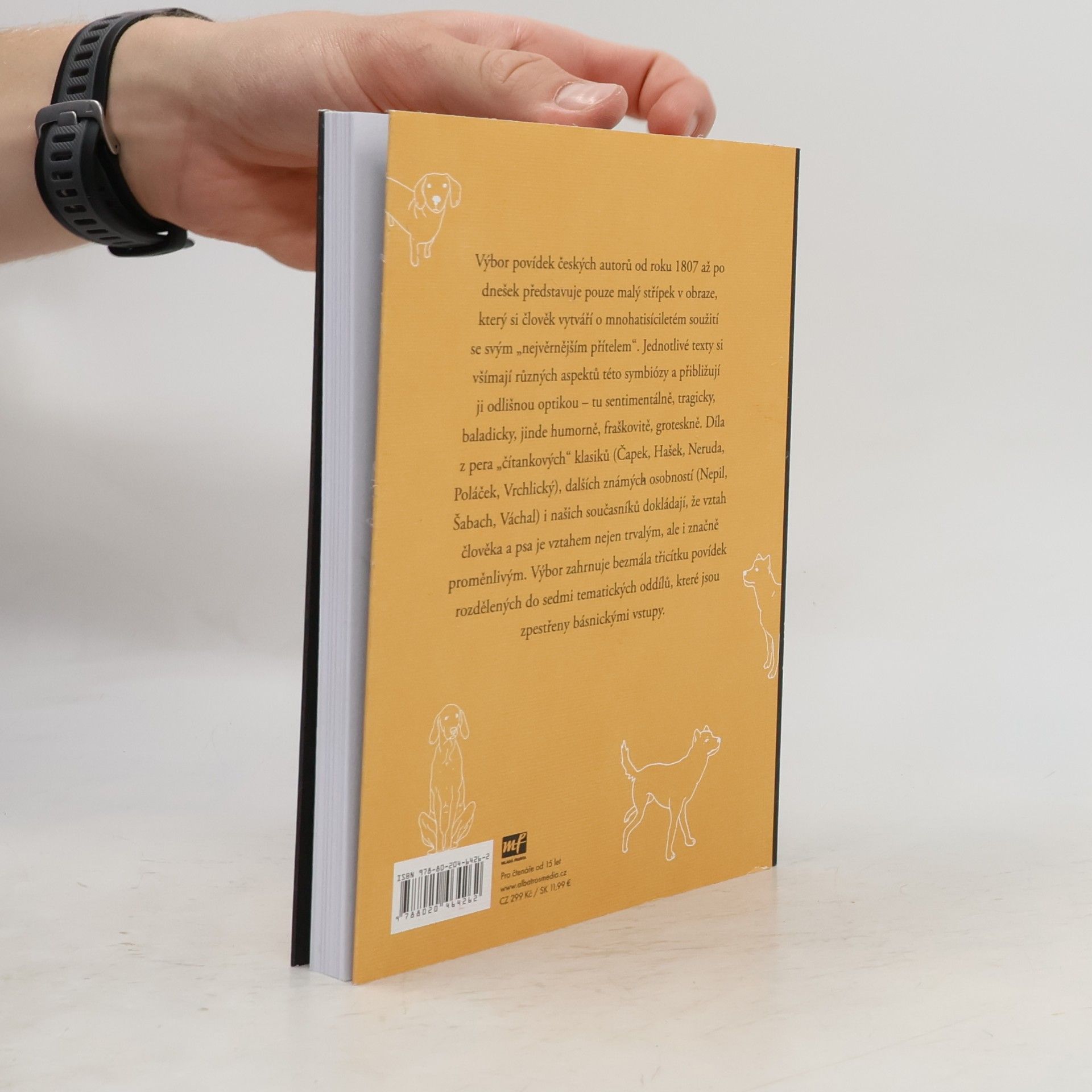 Bára Pospíšilová Psí příhody a nehody v české literatuře