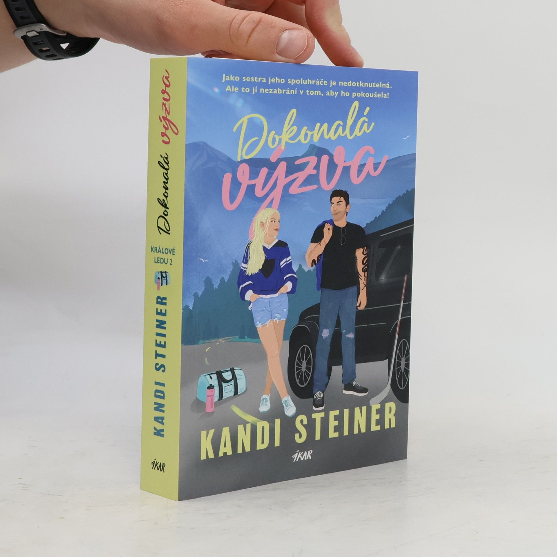 Kandi Steiner Dokonalá výzva