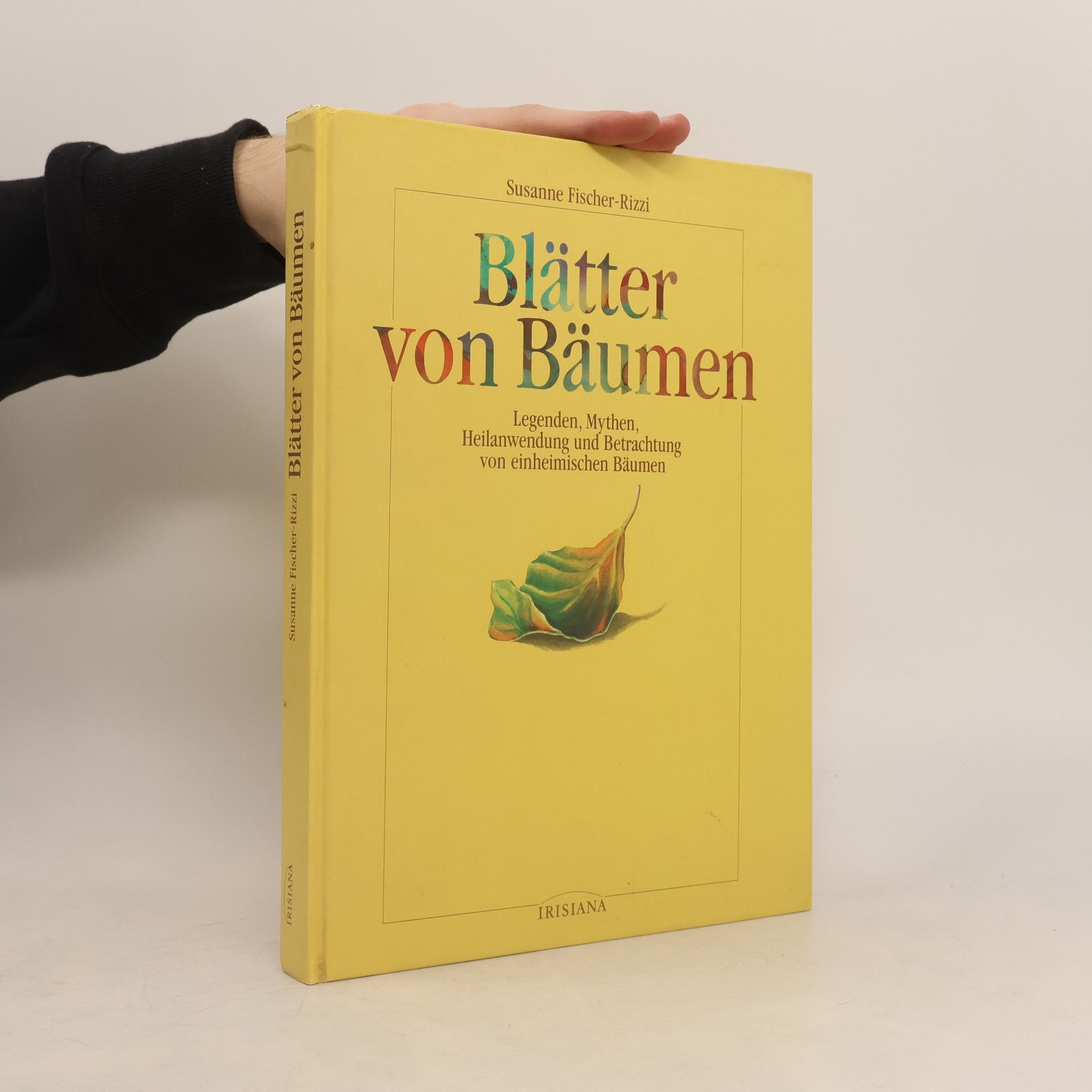 Blätter von Bäumen