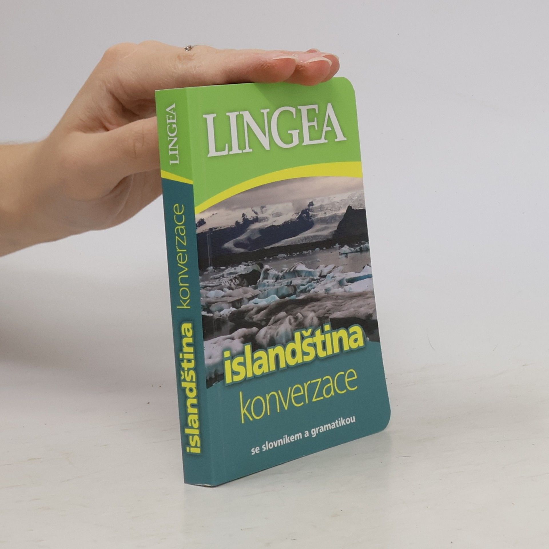 Autorenkollektiv Islandština konverzace se slovníkem a gramatikou