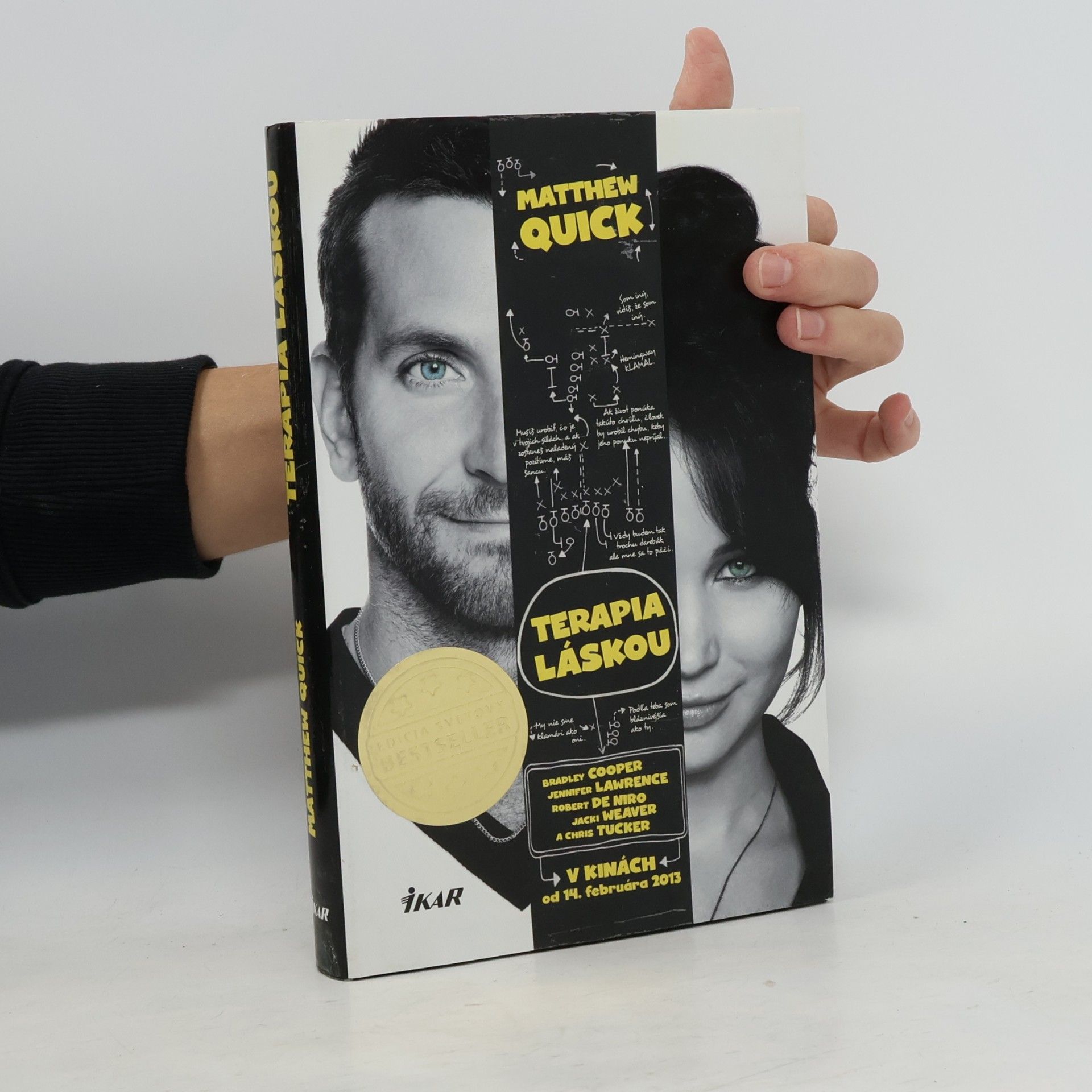 Matthew Quick Terapia láskou