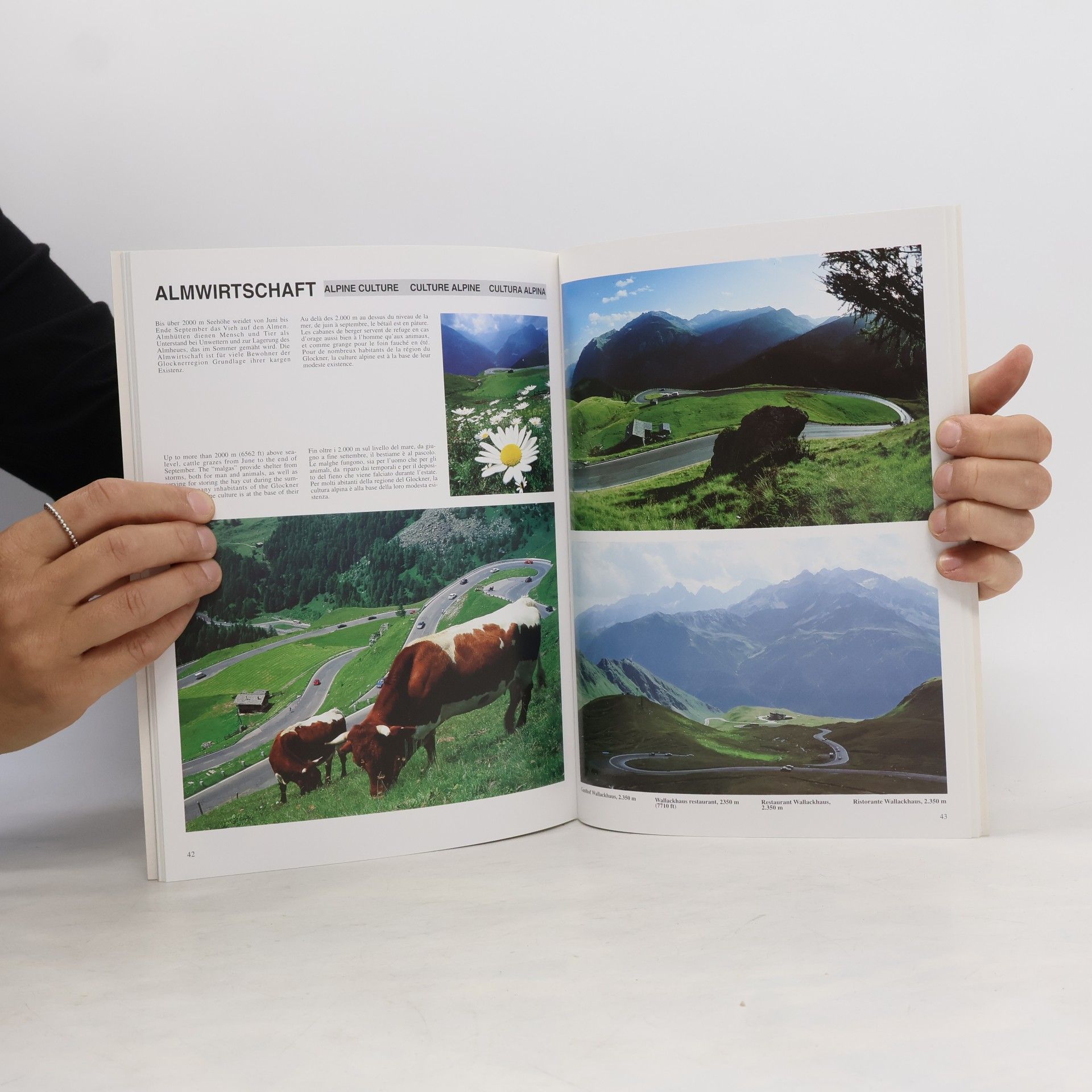 Various authors Menschen, Berg und Straße: Grossglockner