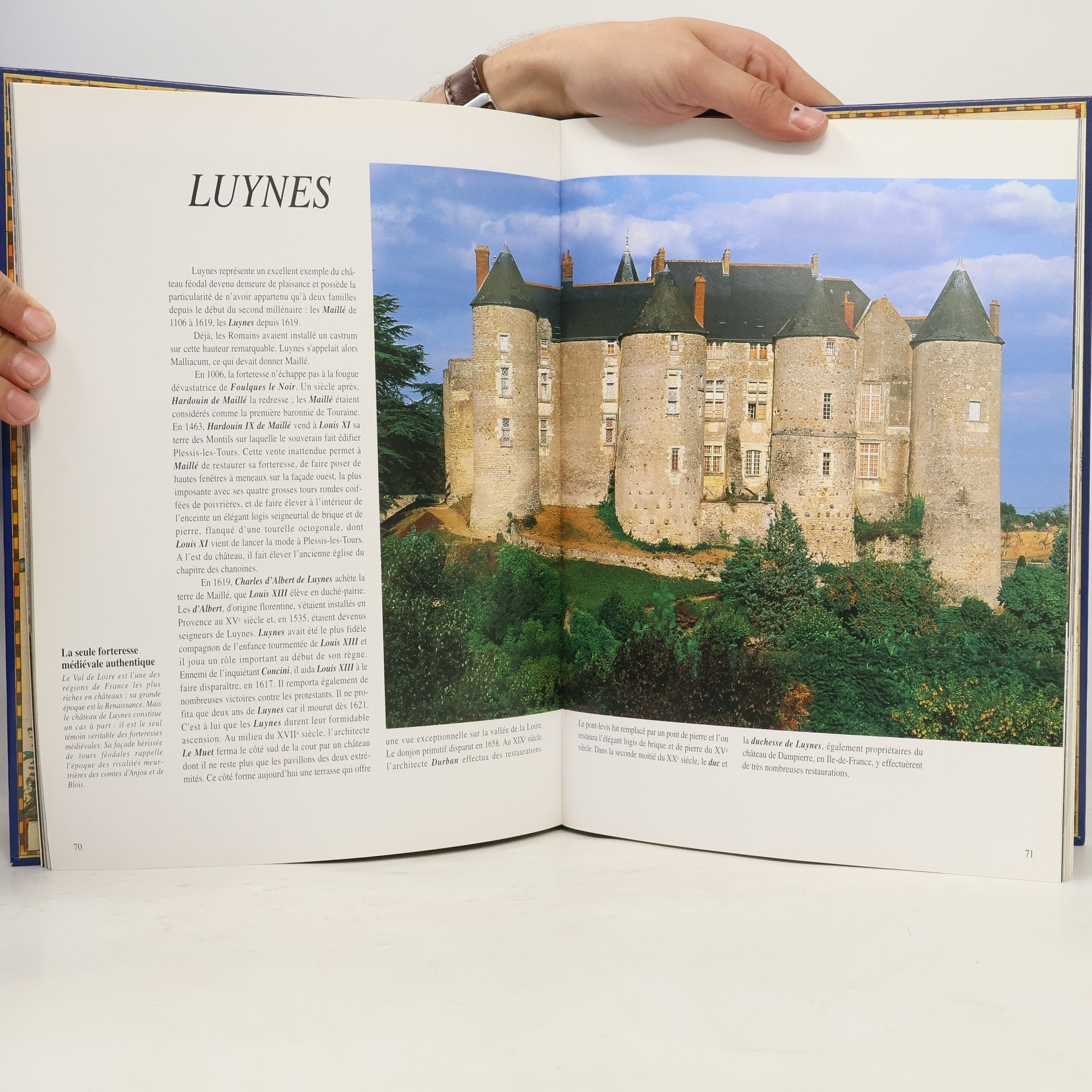 Kolektiv autorů Châteaux de la Loire