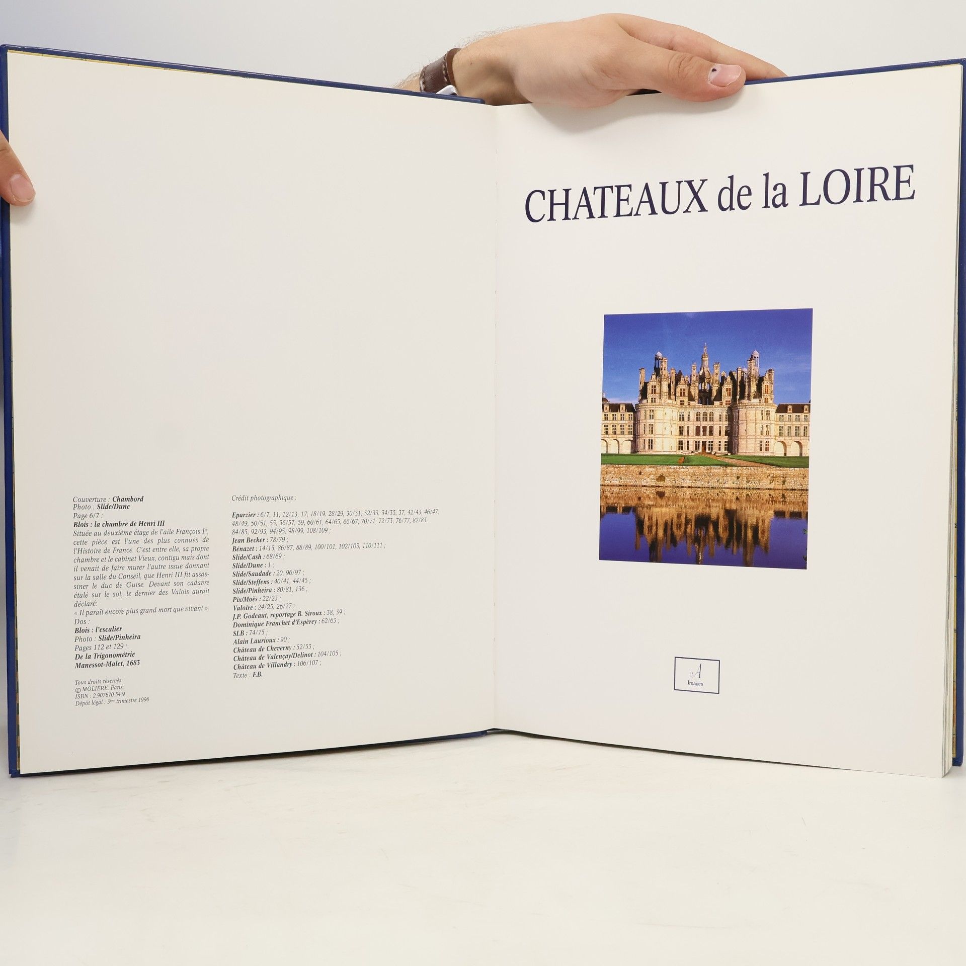 Kolektiv autorů Châteaux de la Loire