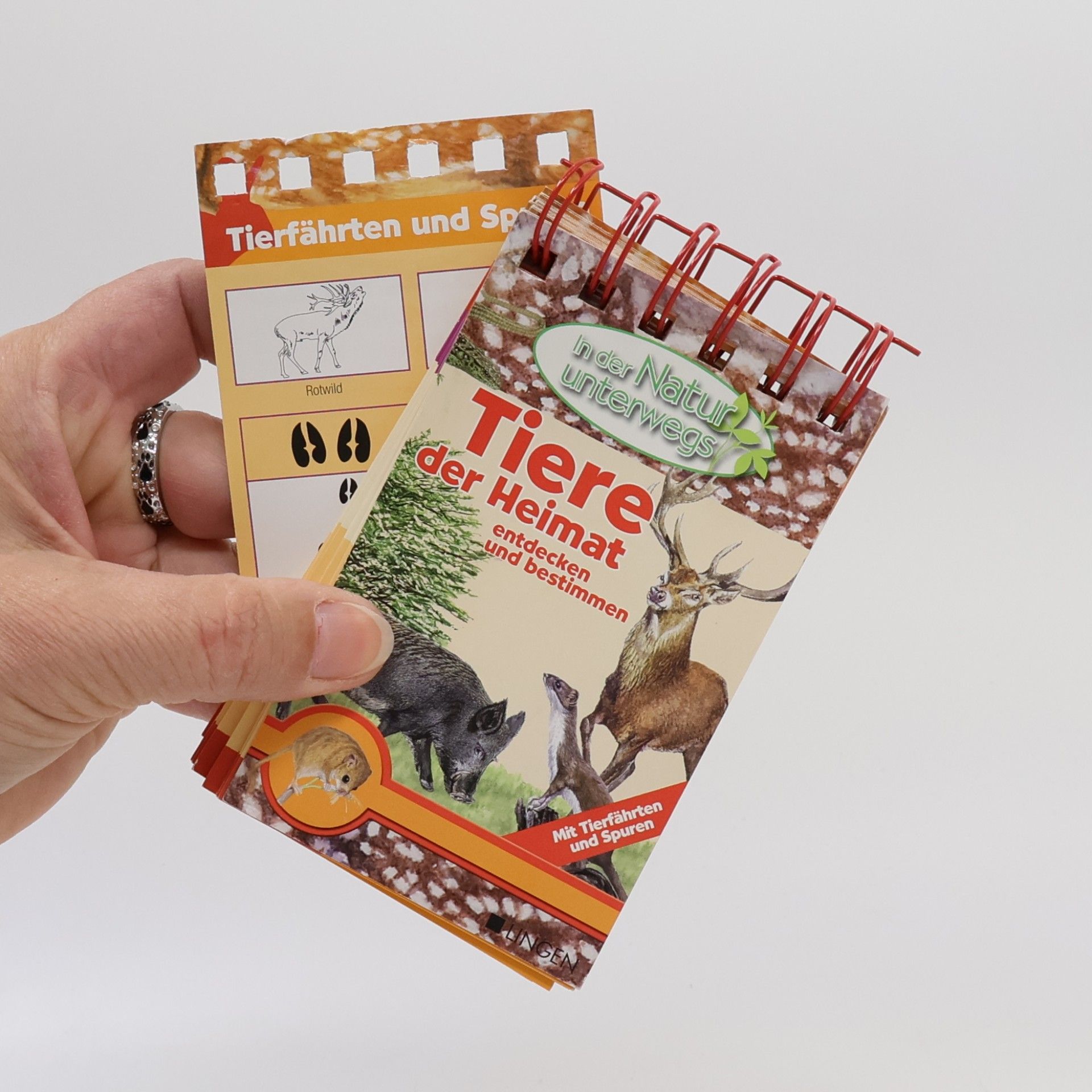 Various authors In der Natur unterwegs. Tiere der Heimat entdecken und bestimmen