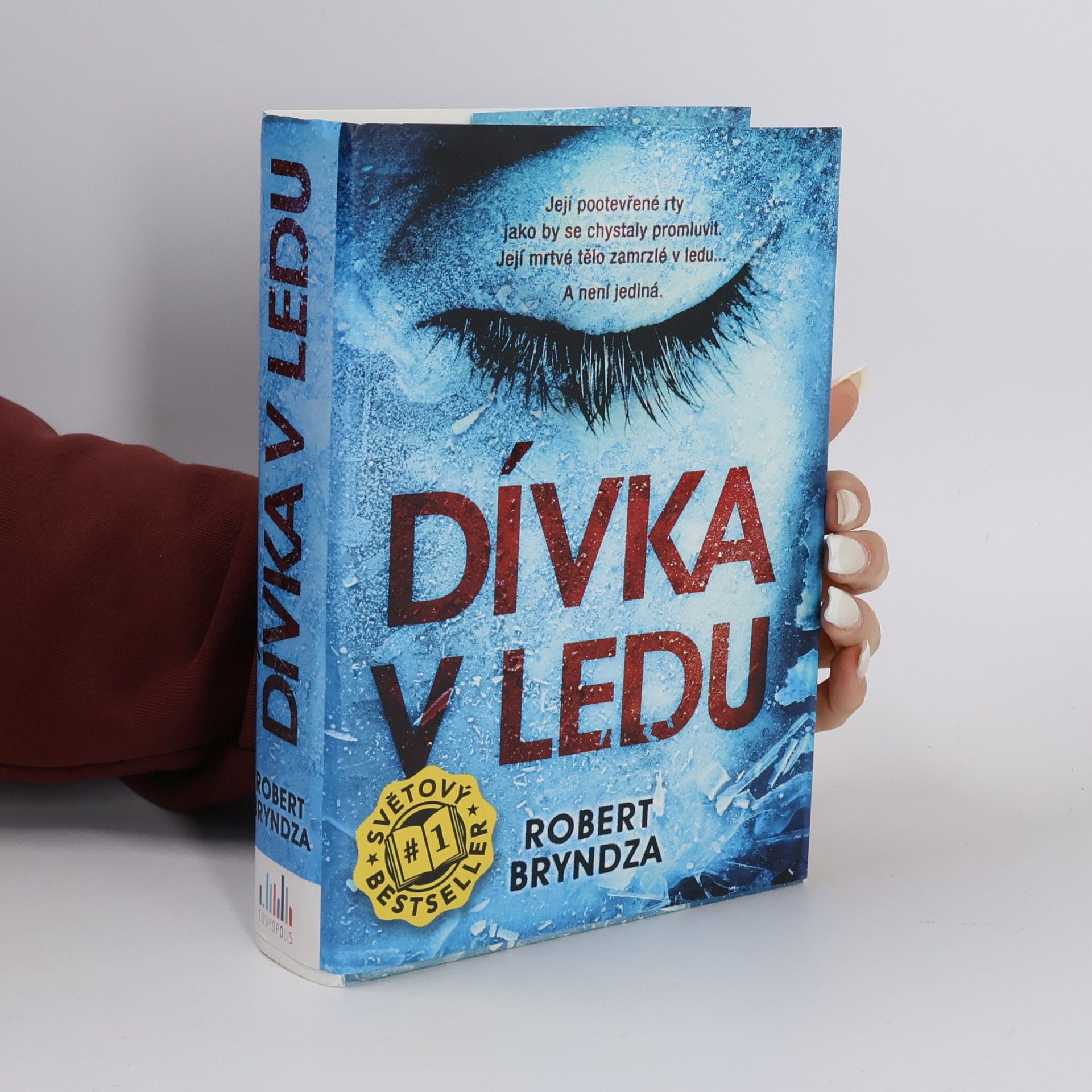 Robert Bryndza Dívka v ledu