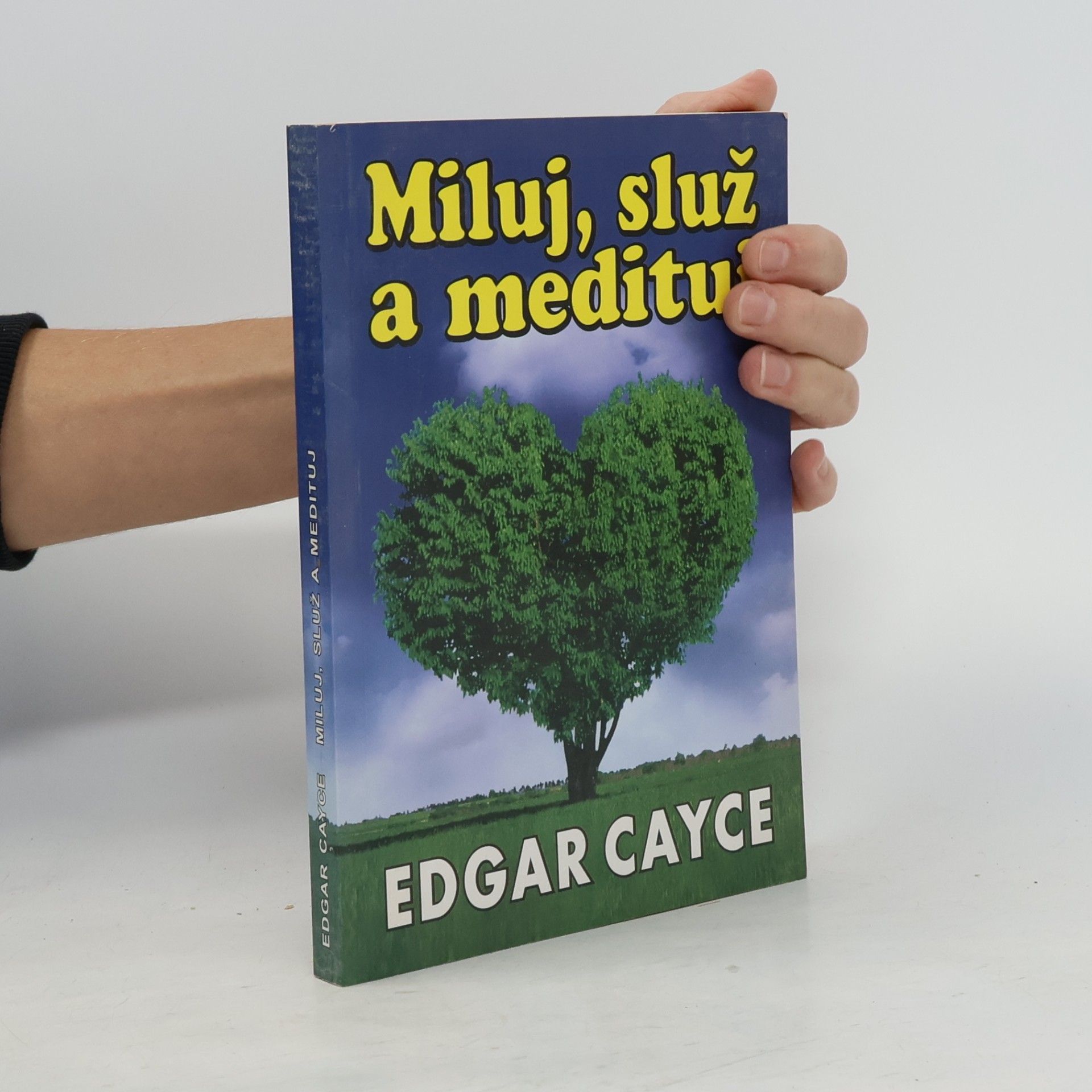 V. S. Johanes Miluj, služ a medituj
