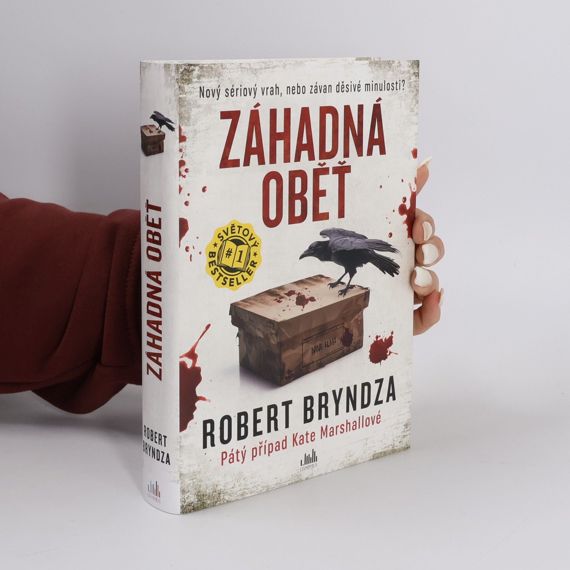 Robert Bryndza Záhadná oběť
