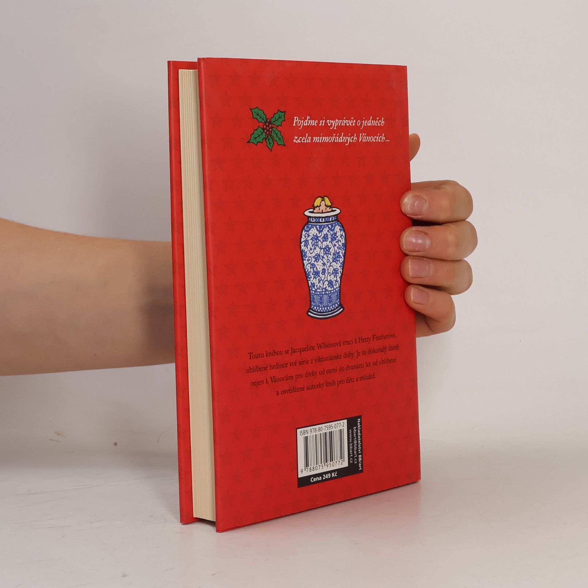 Jacqueline Wilson Vánoční překvapení