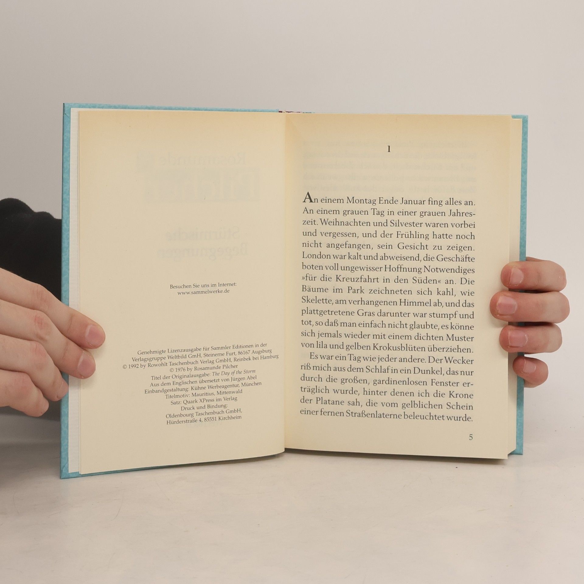 Rosamunde Pilcher Stürmische Begegnung