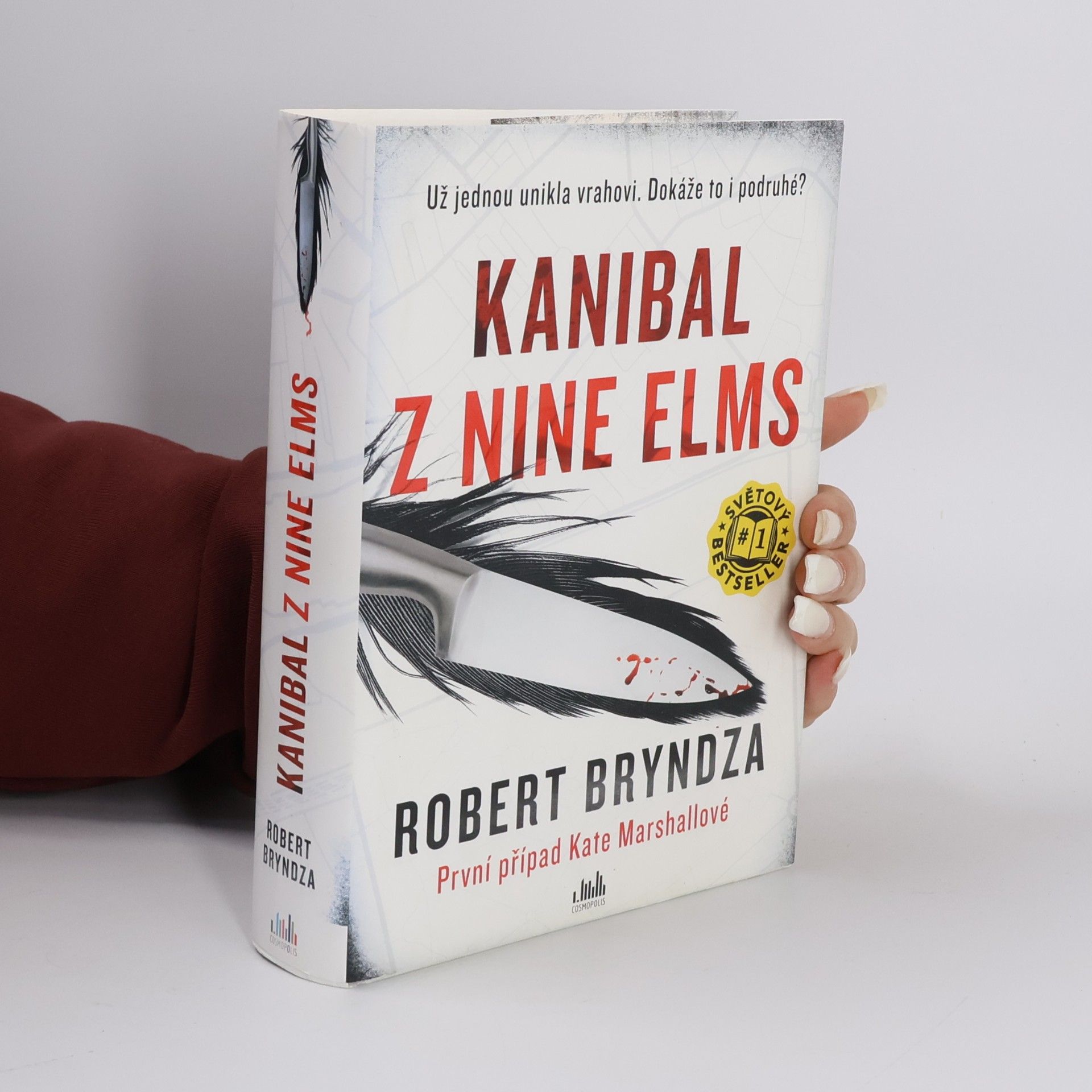 Robert Bryndza Kanibal z Nine Elms