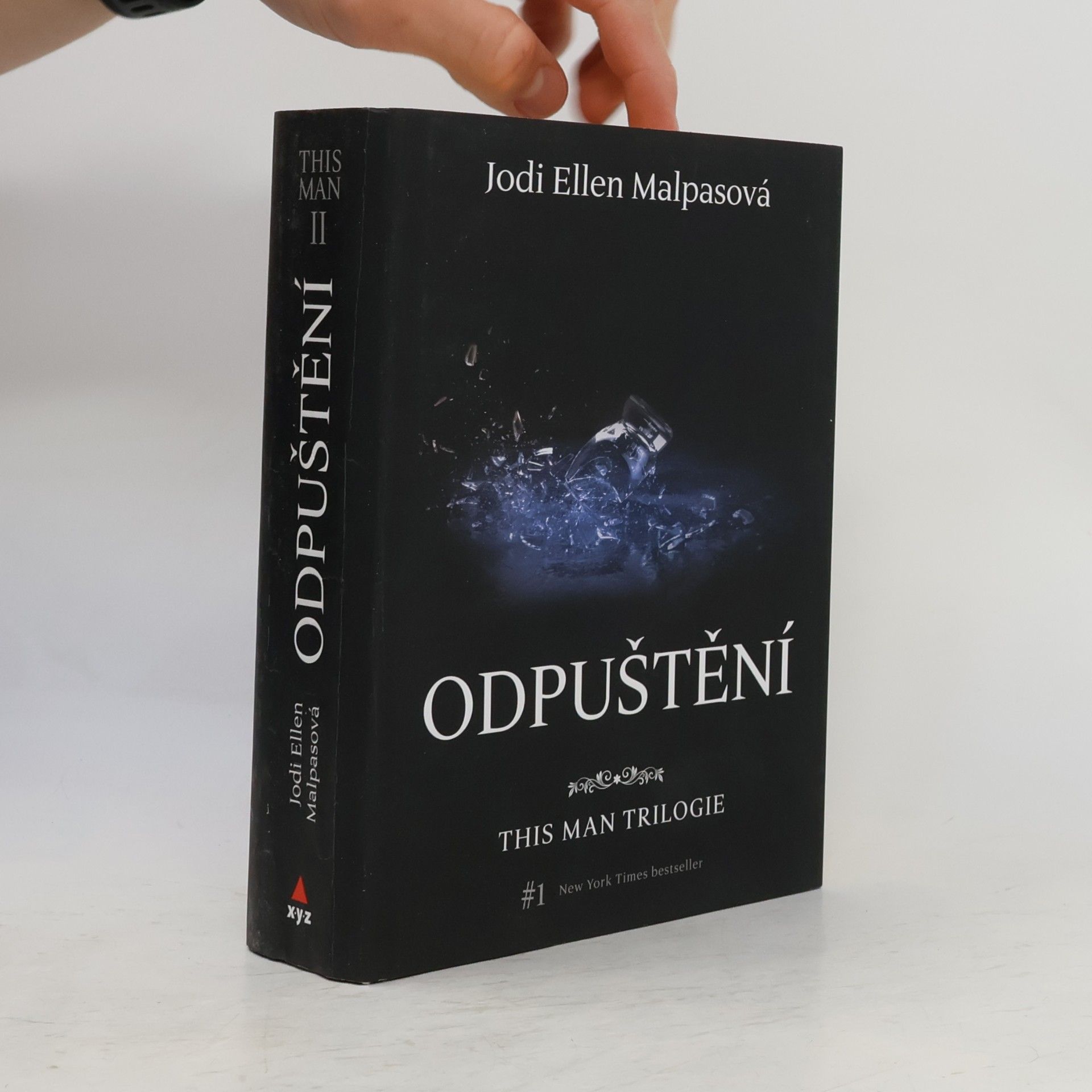 Jodi Ellen Malpas This man trilogie : Odpuštění