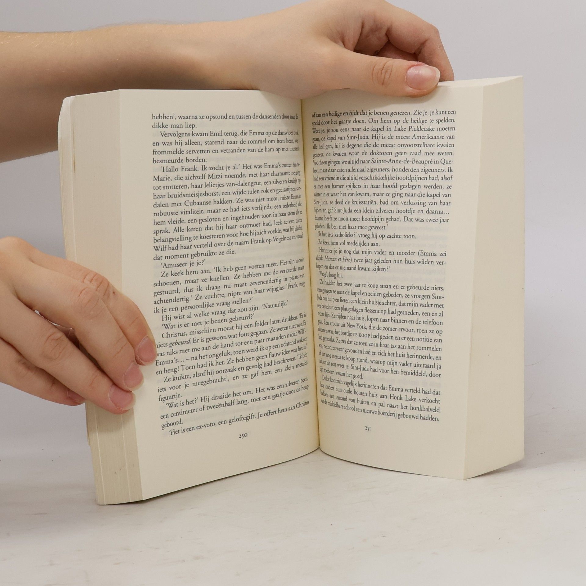Annie Proulx Accordeon misdaden