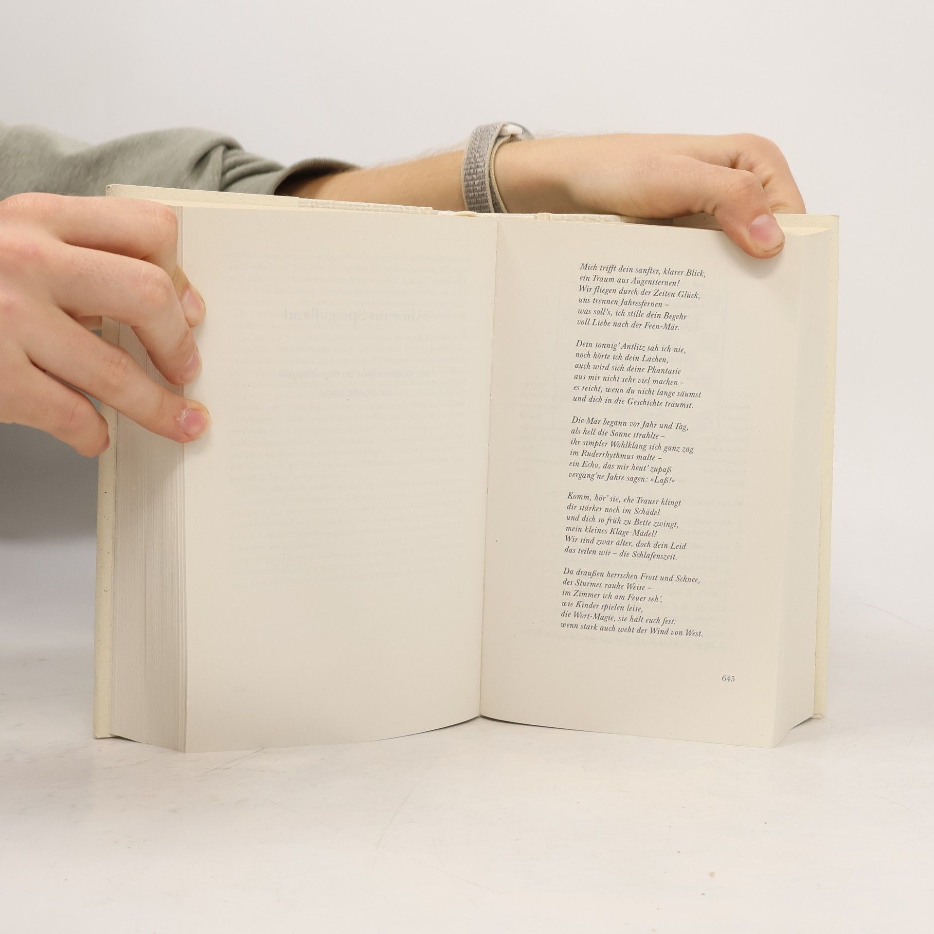 Lewis Carroll Das literarische Gesamtwerk