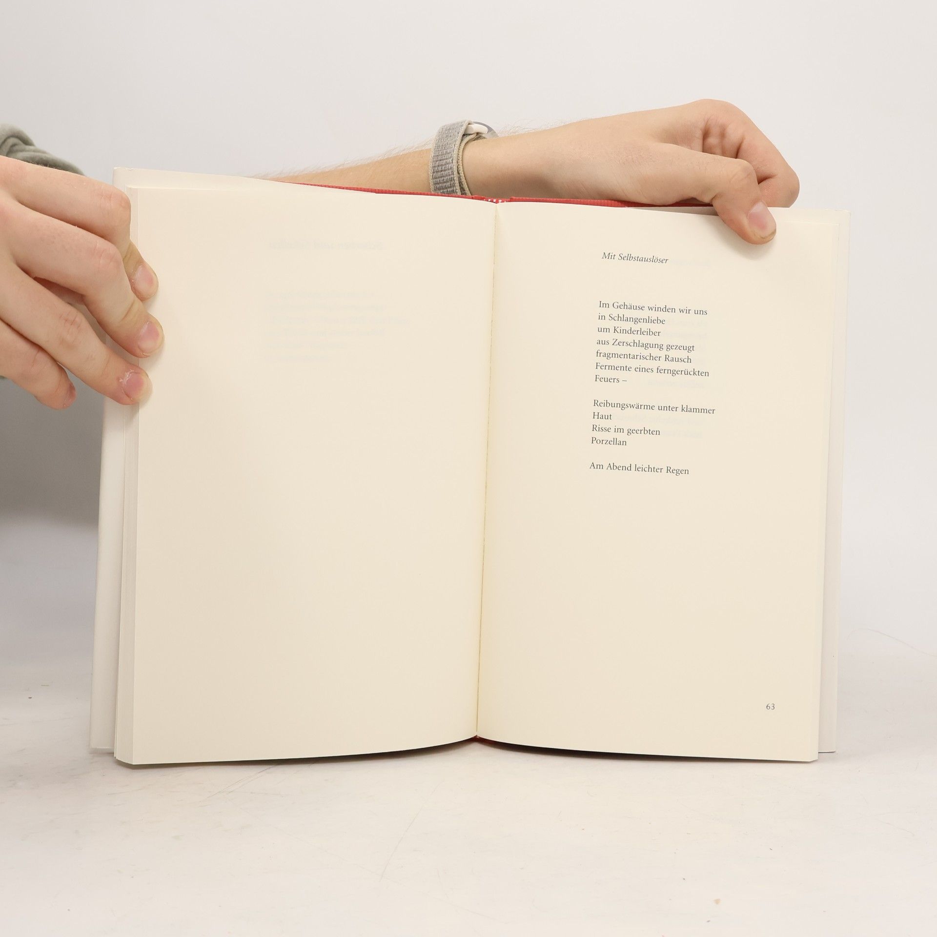 Dagmar Leupold Byrons Feldbett. Gedichte