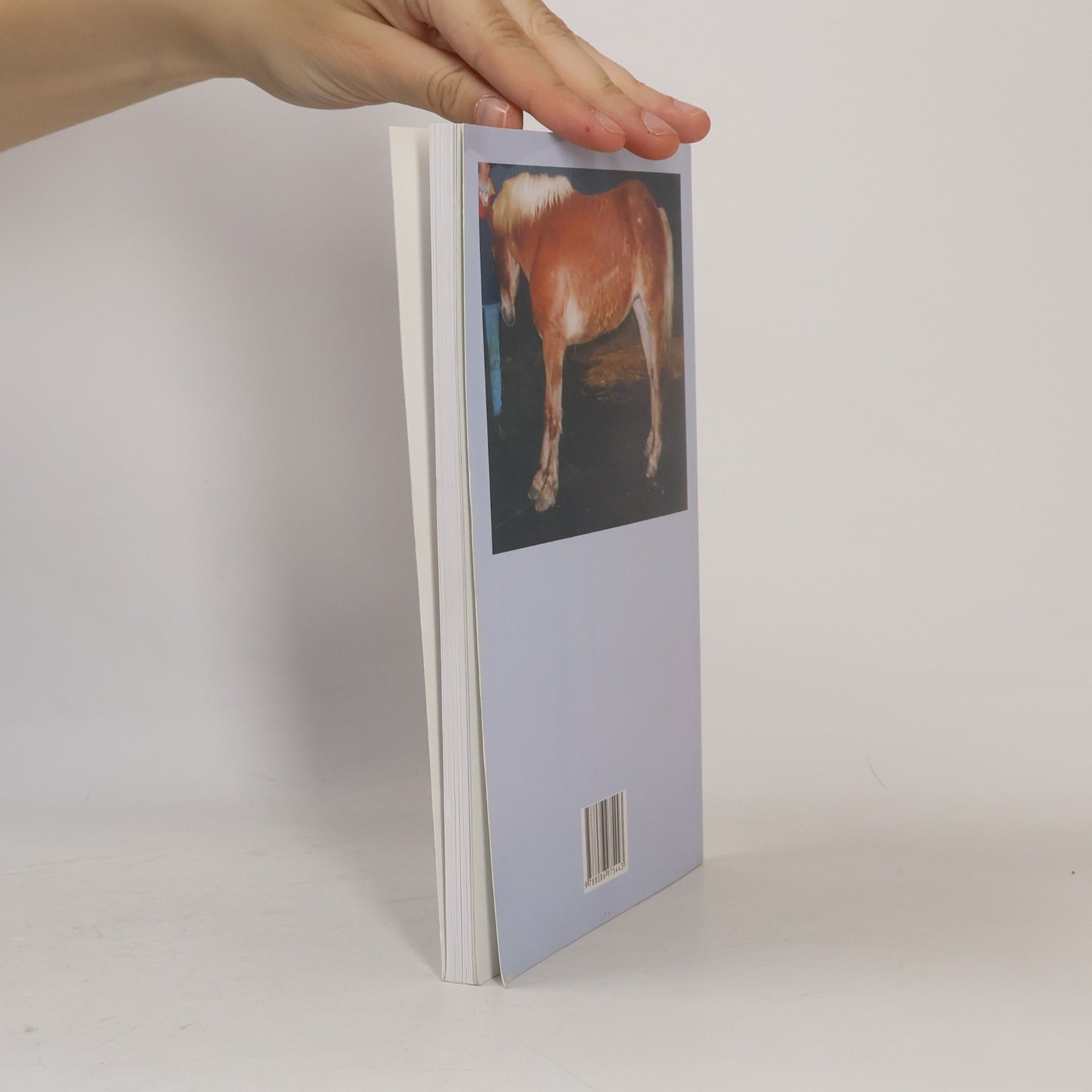 Hiltrud Strasser Schvácení kopyt - Laminitis