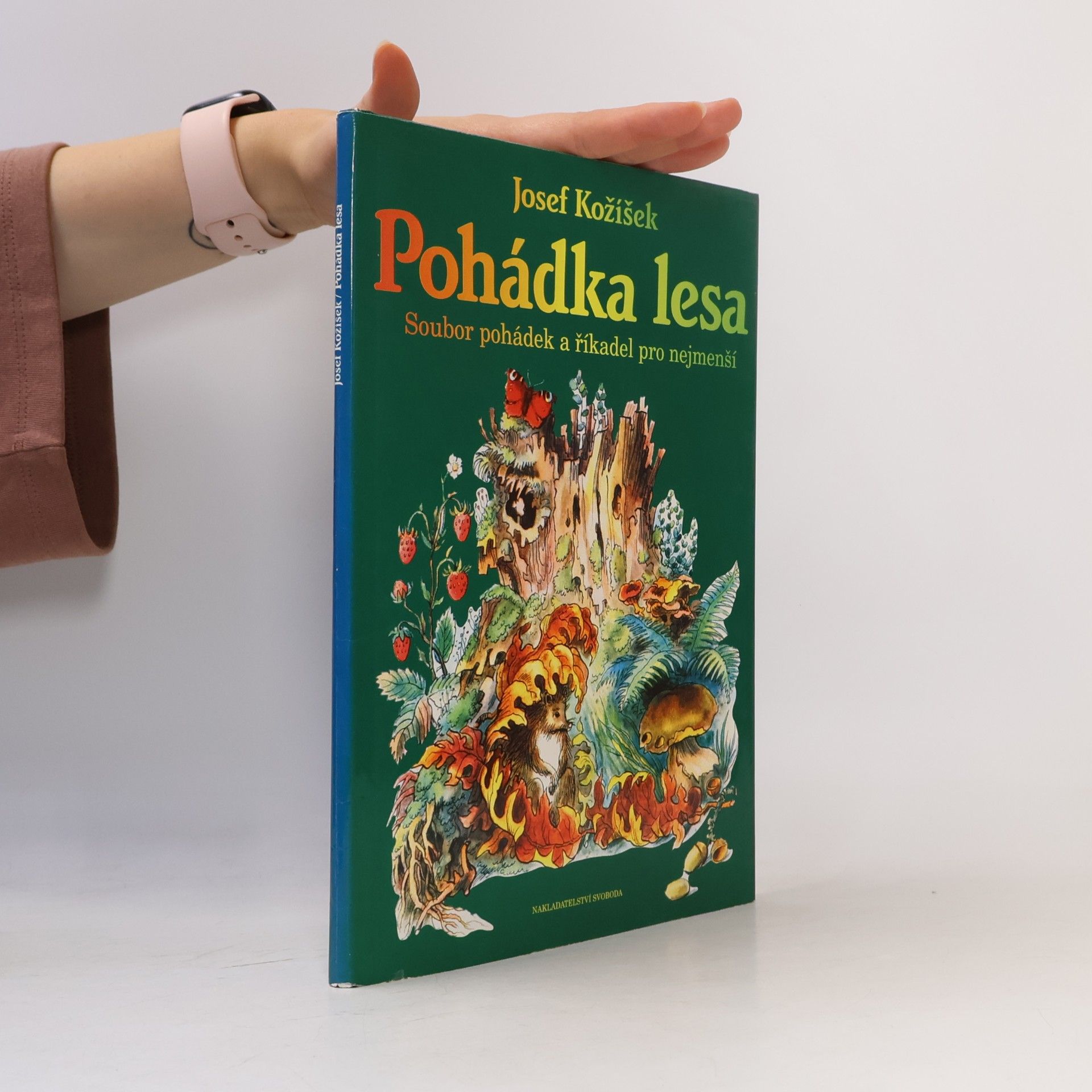 Josef Kožíšek Pohádka lesa