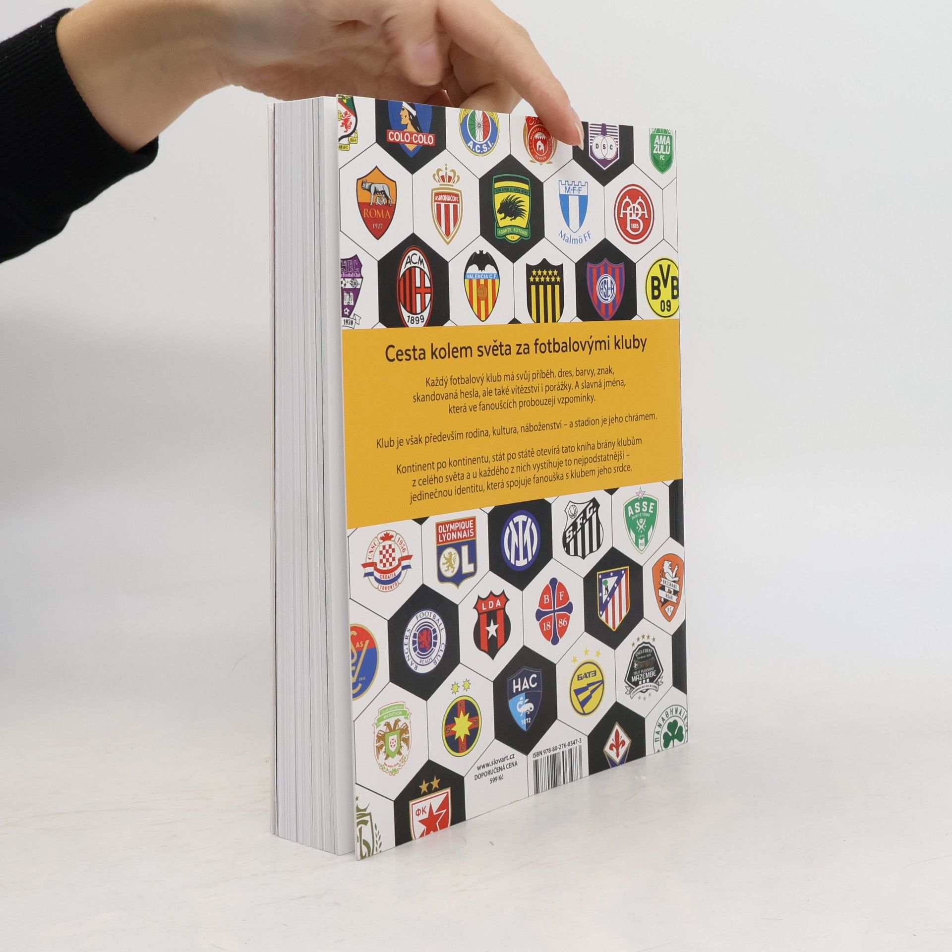 Jean Damien Lesay 1001 fotbalových klubů