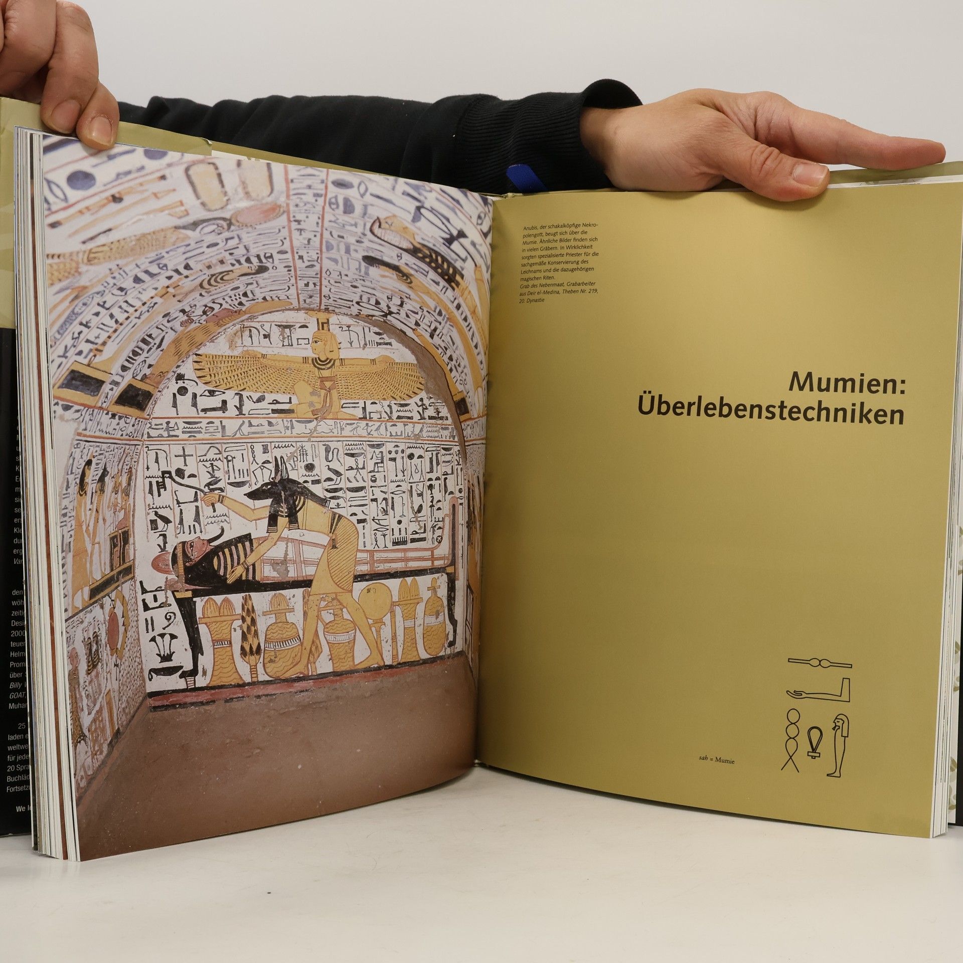 Rose Marie Hagen Ägypten