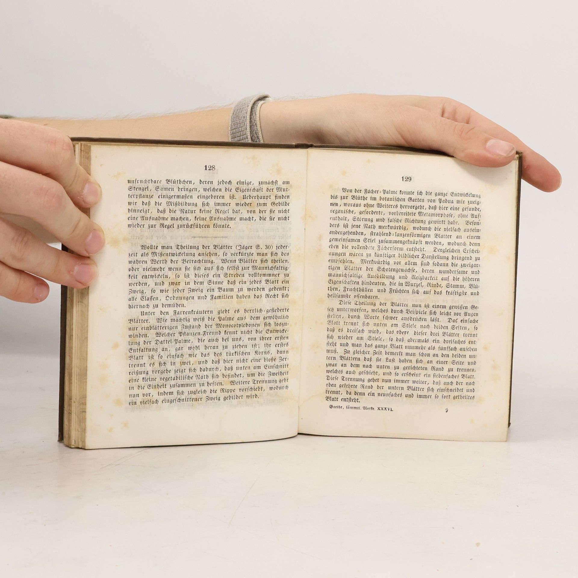 Johann Wolfgang von Goethe Goethe’s sämmtliche Werke XXXVI. Bildung und Umbildung organischer Naturen