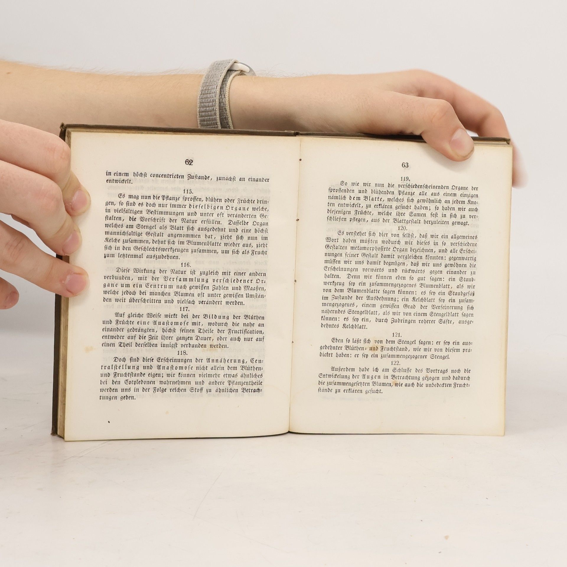 Johann Wolfgang von Goethe Goethe’s sämmtliche Werke XXXVI. Bildung und Umbildung organischer Naturen