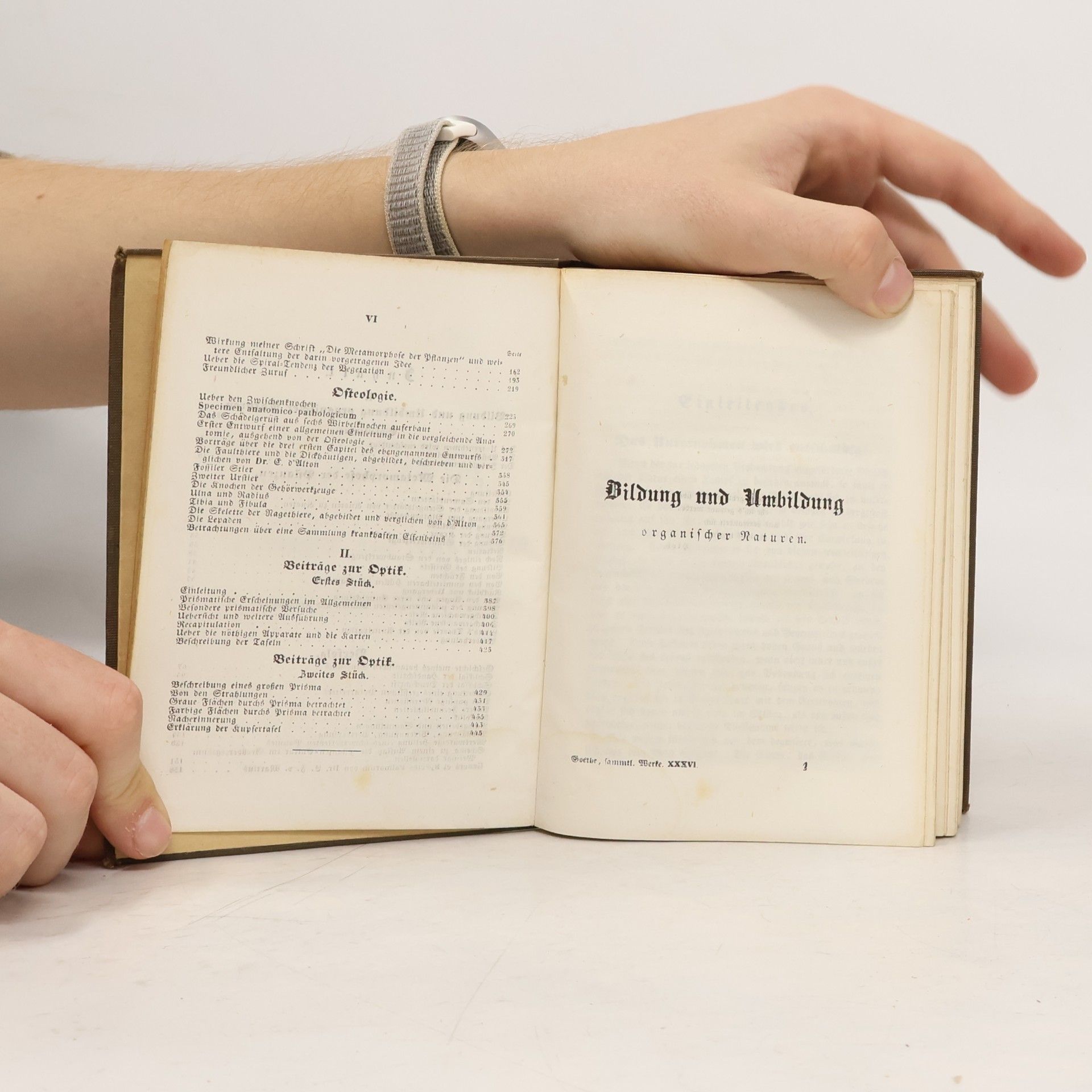 Johann Wolfgang von Goethe Goethe’s sämmtliche Werke XXXVI. Bildung und Umbildung organischer Naturen