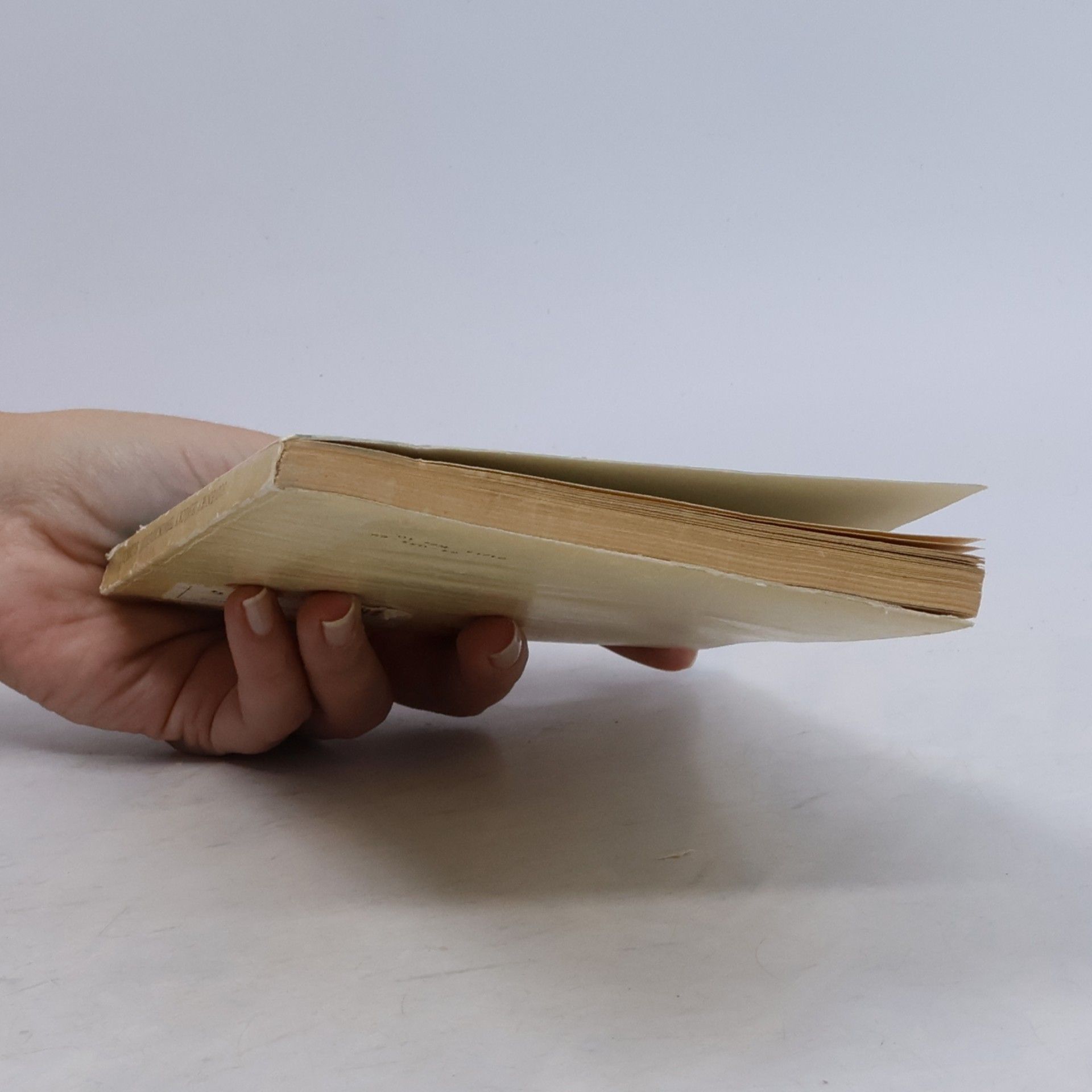 Autorenkollektiv Slovenský lesnícky terminologický slovník