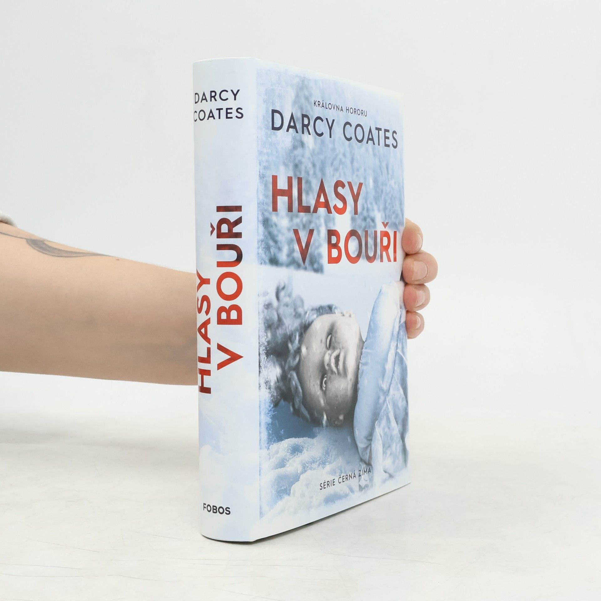Darcy Coates Hlasy v bouři