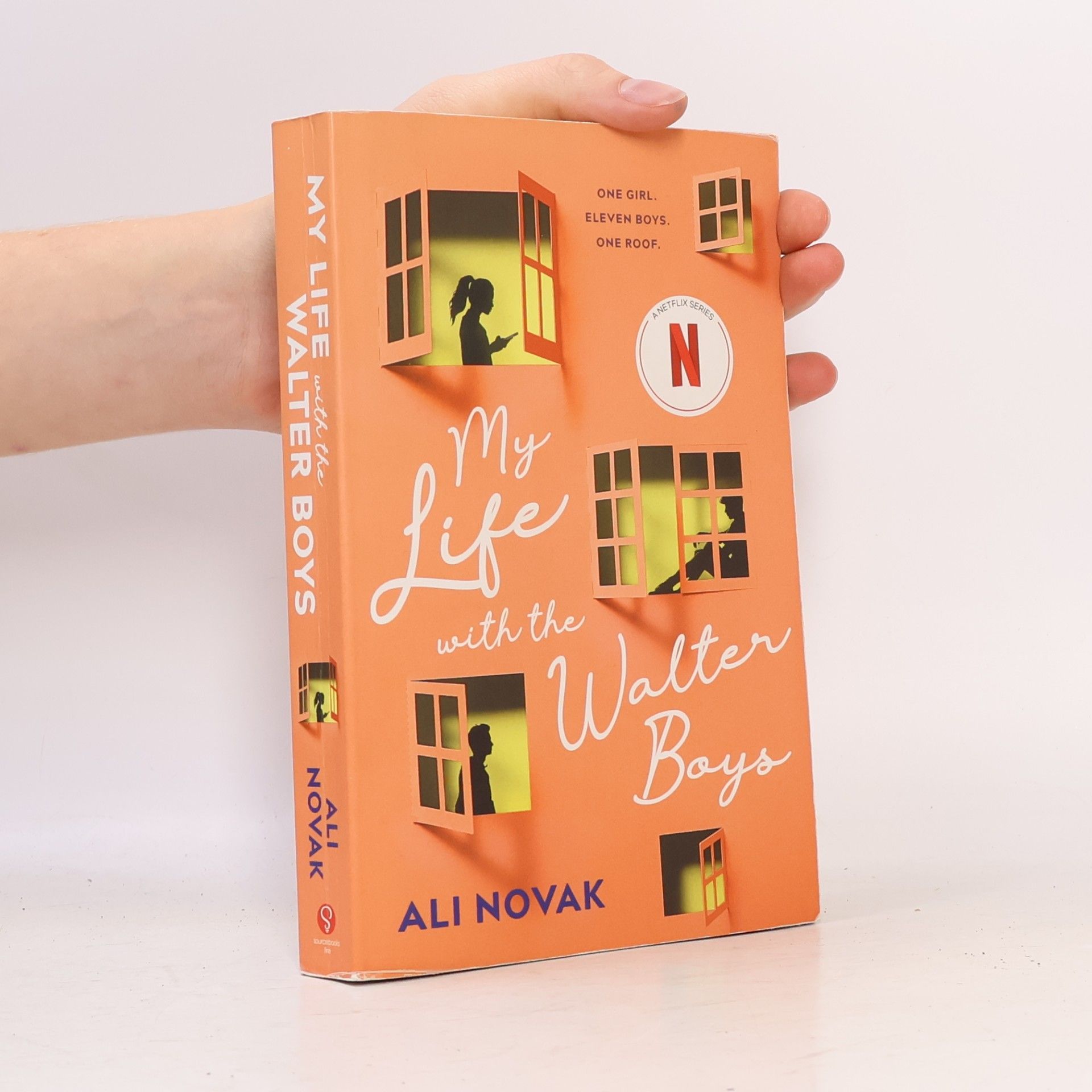 Ali Novak My Life with the Walter Boys